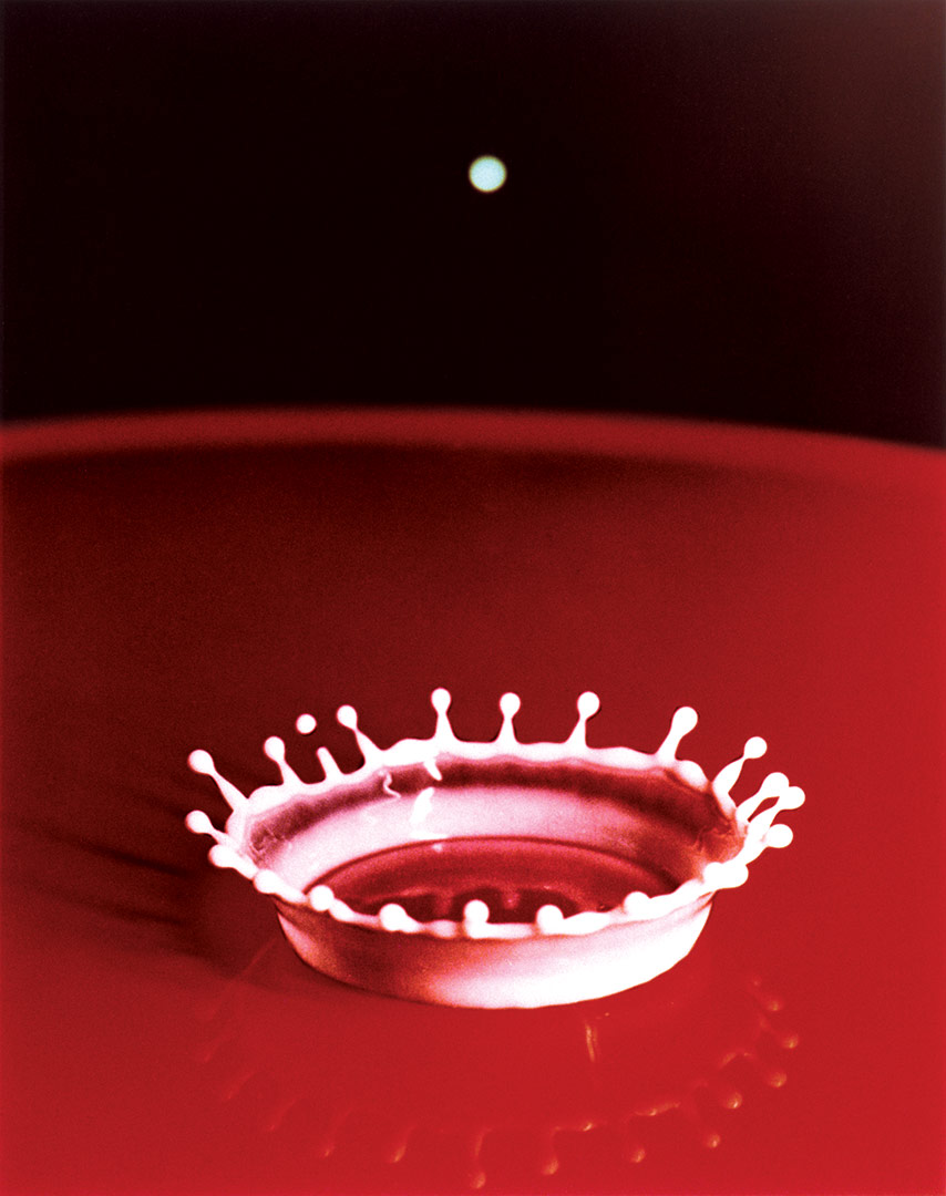 Milk Drop Coronet (Harold Edgerton, 1957)