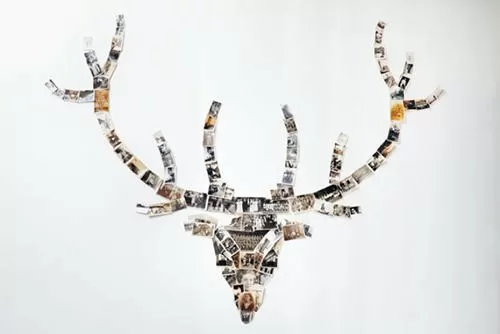 Photo genealogical tree shaped as a deer head
