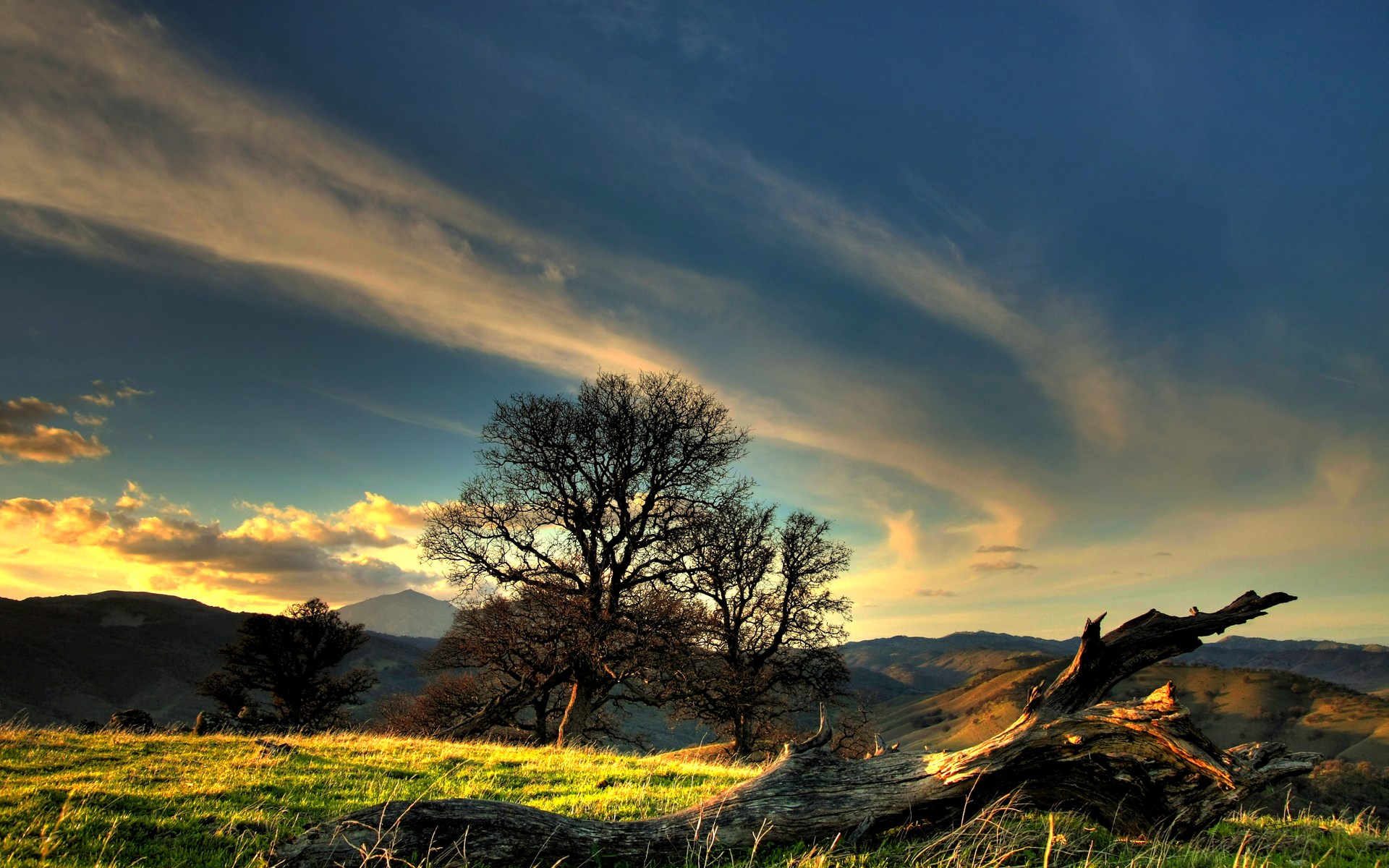 Sunset over rolling hills with trees and fallen log HD Wallpaper