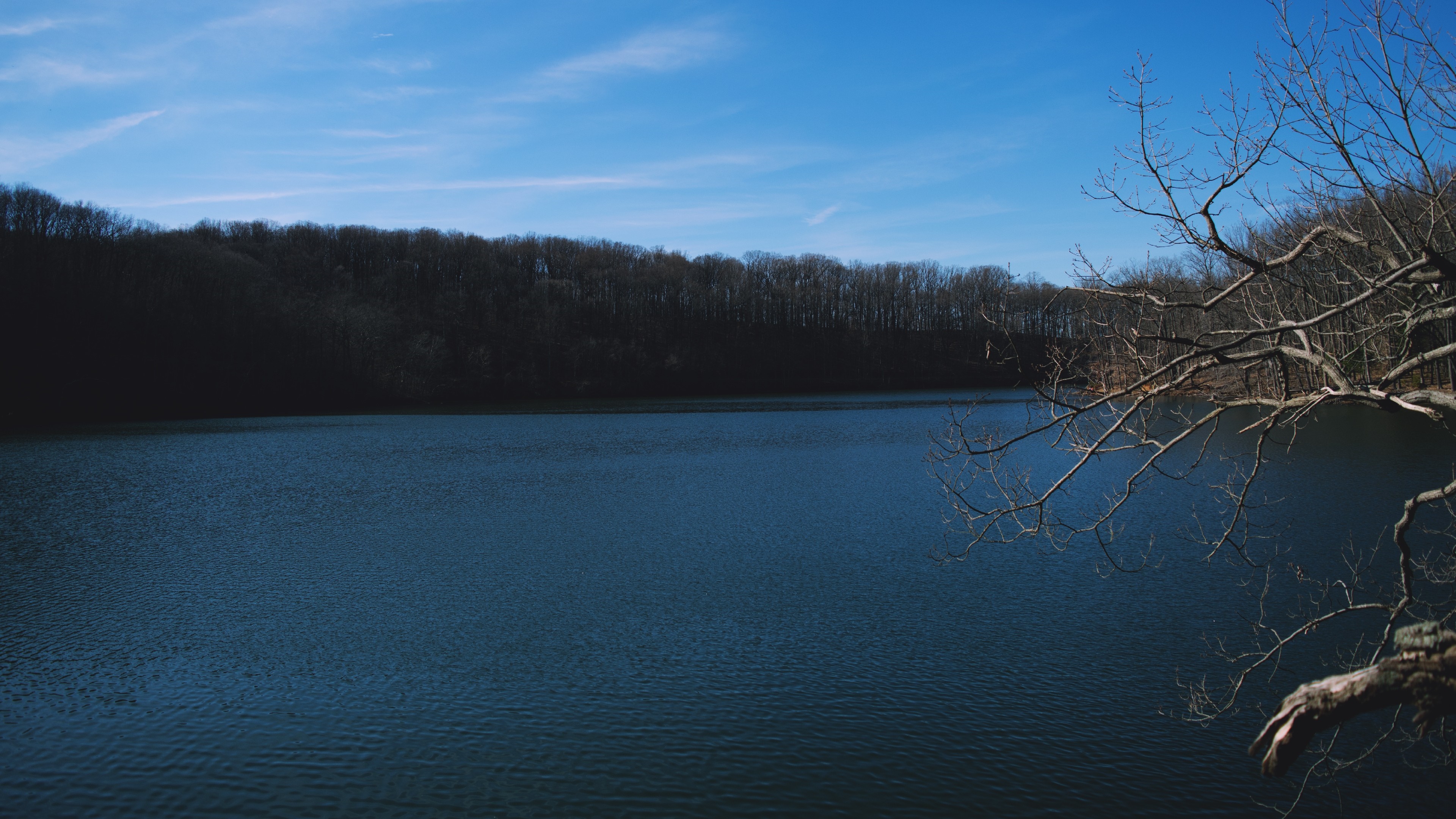 Bare trees on a hill overlooking a dark lake under a blue sky HD Wallpaper