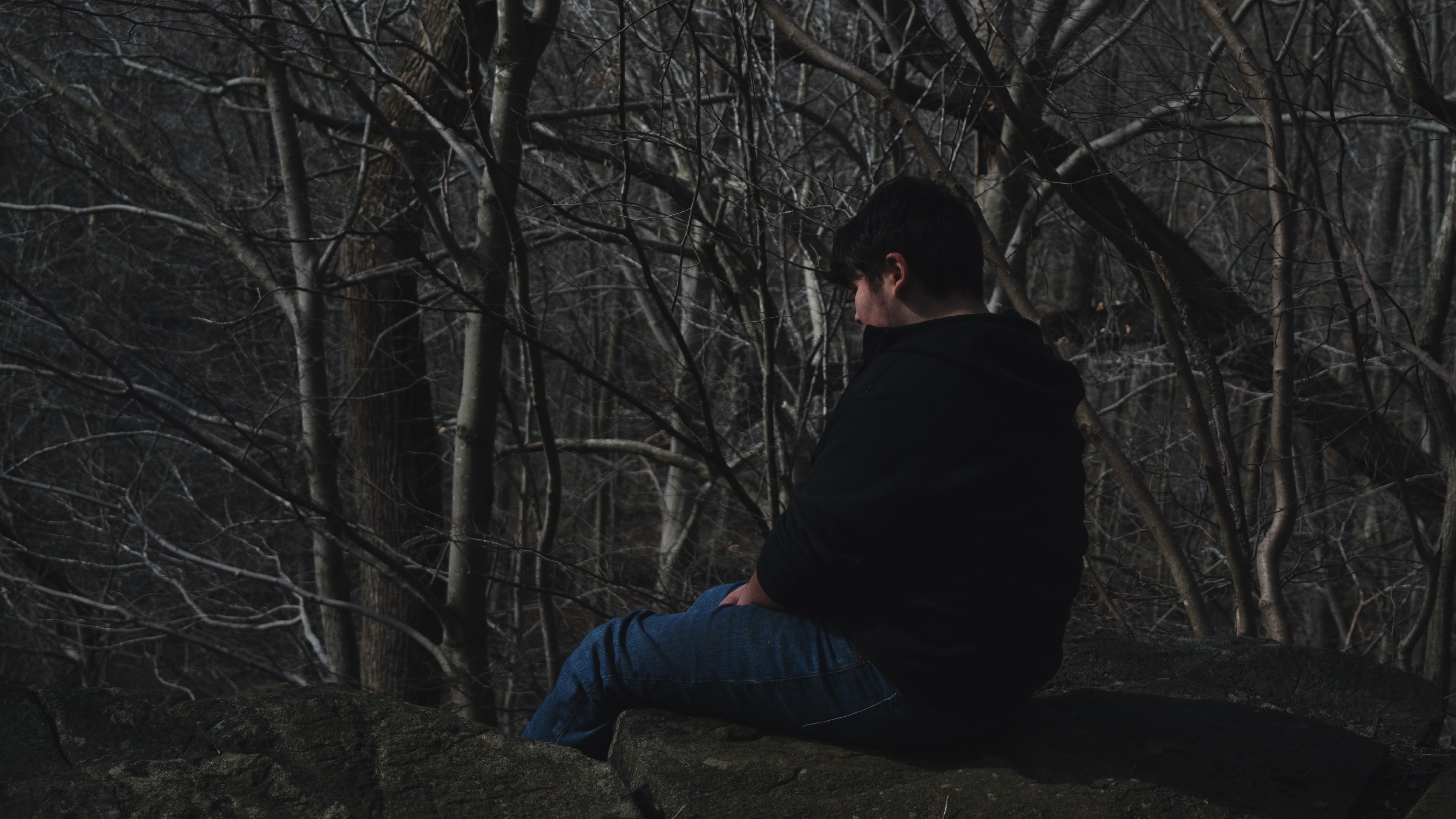 Person sitting on a rock in a dark forest HD Wallpaper
