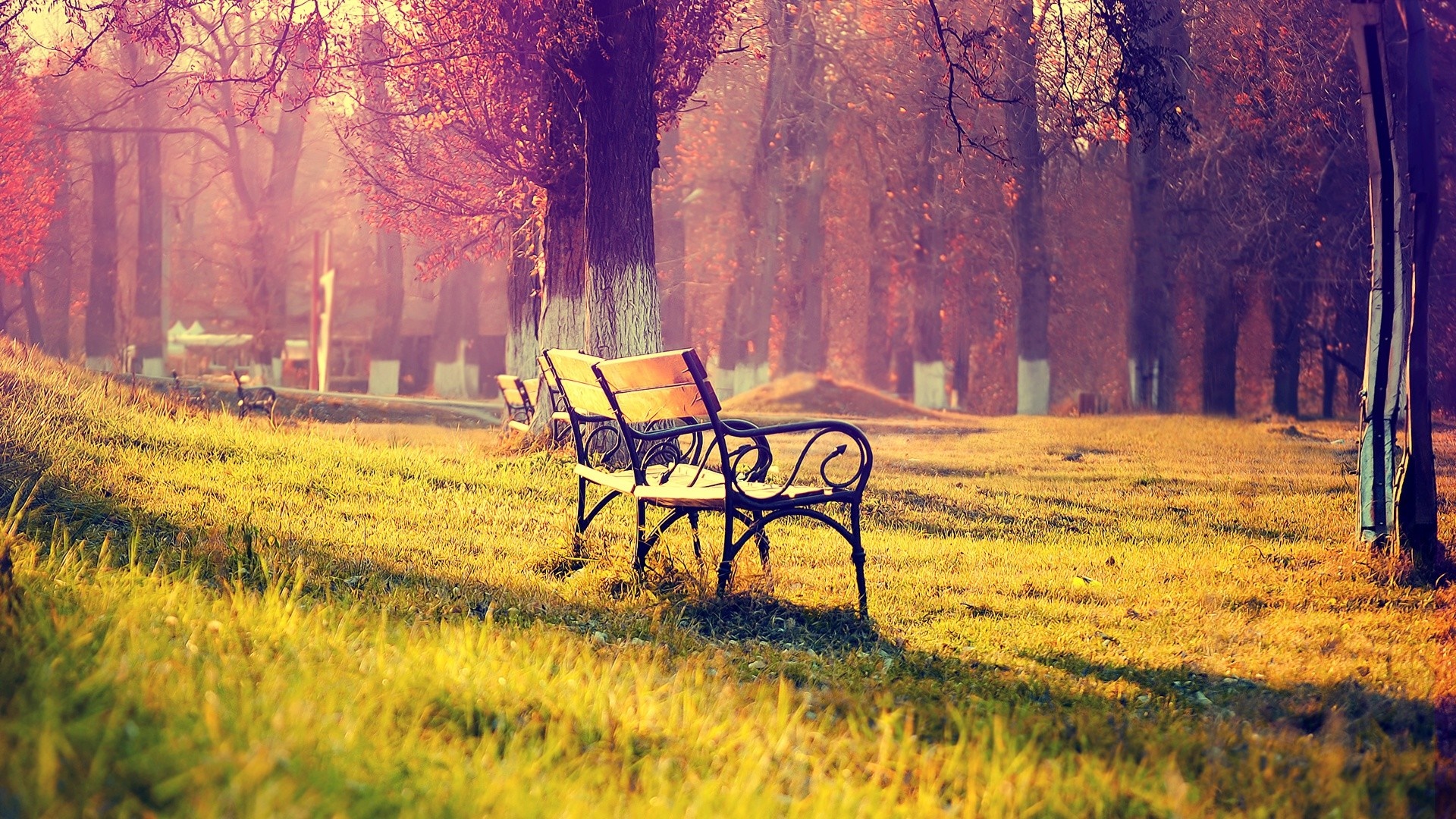 Autumn park bench bathed in sunlight HD Wallpaper