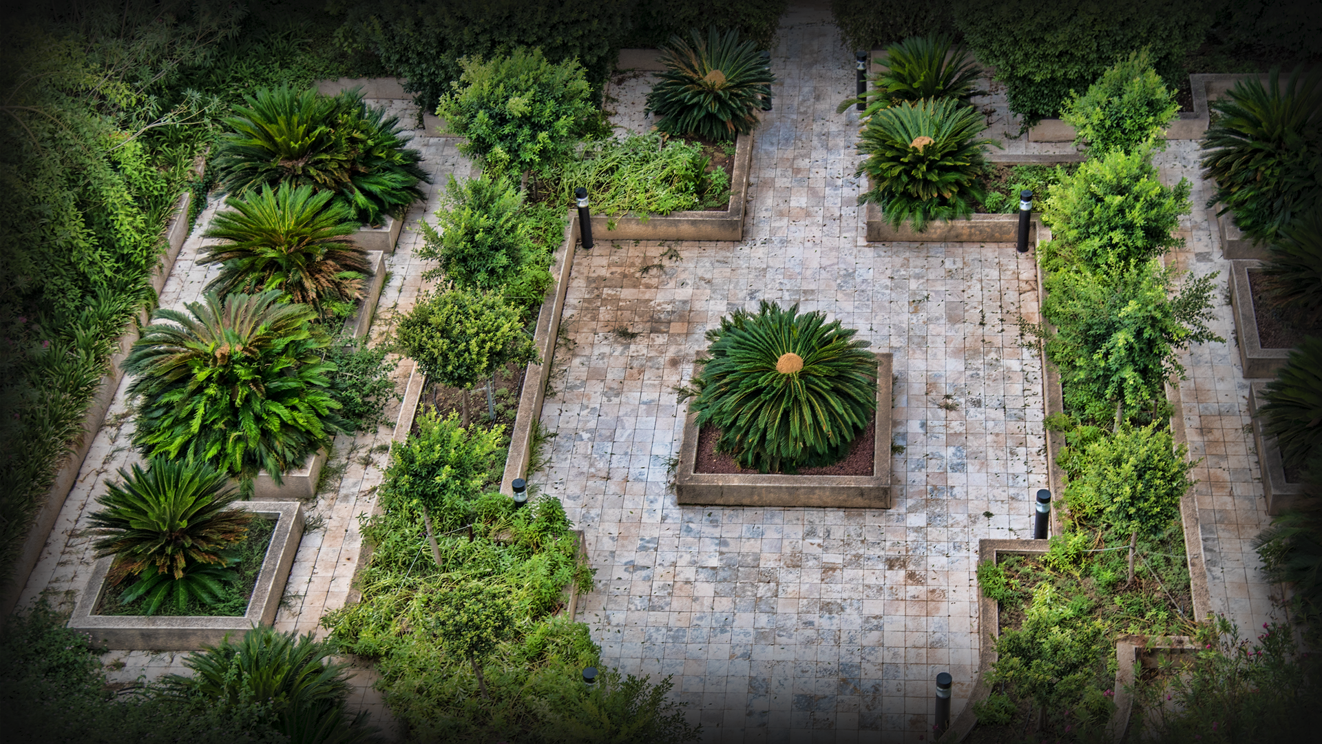 Courtyard garden with palm trees and stone pathways HD Wallpaper