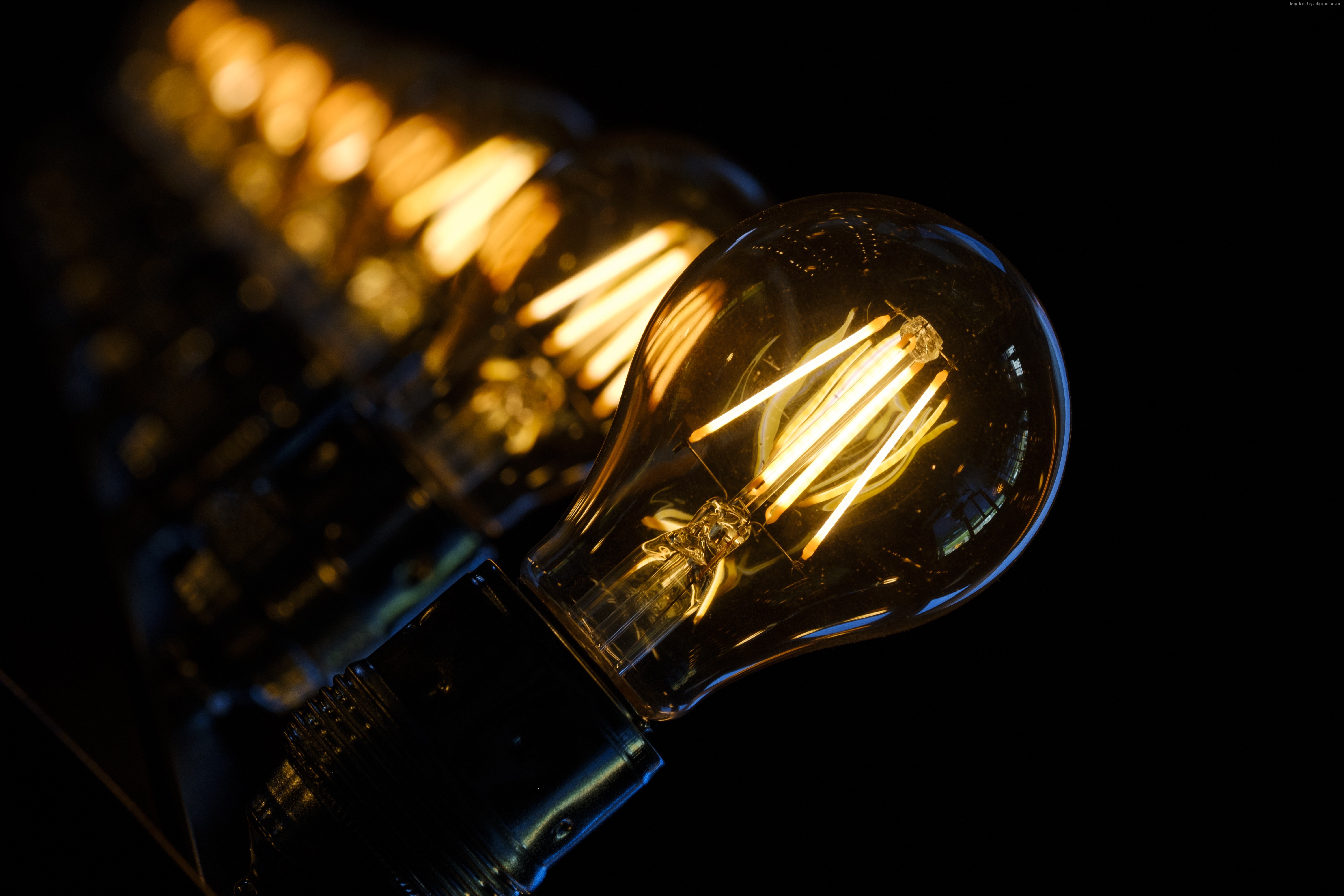 Row of illuminated Edison light bulbs HD Wallpaper