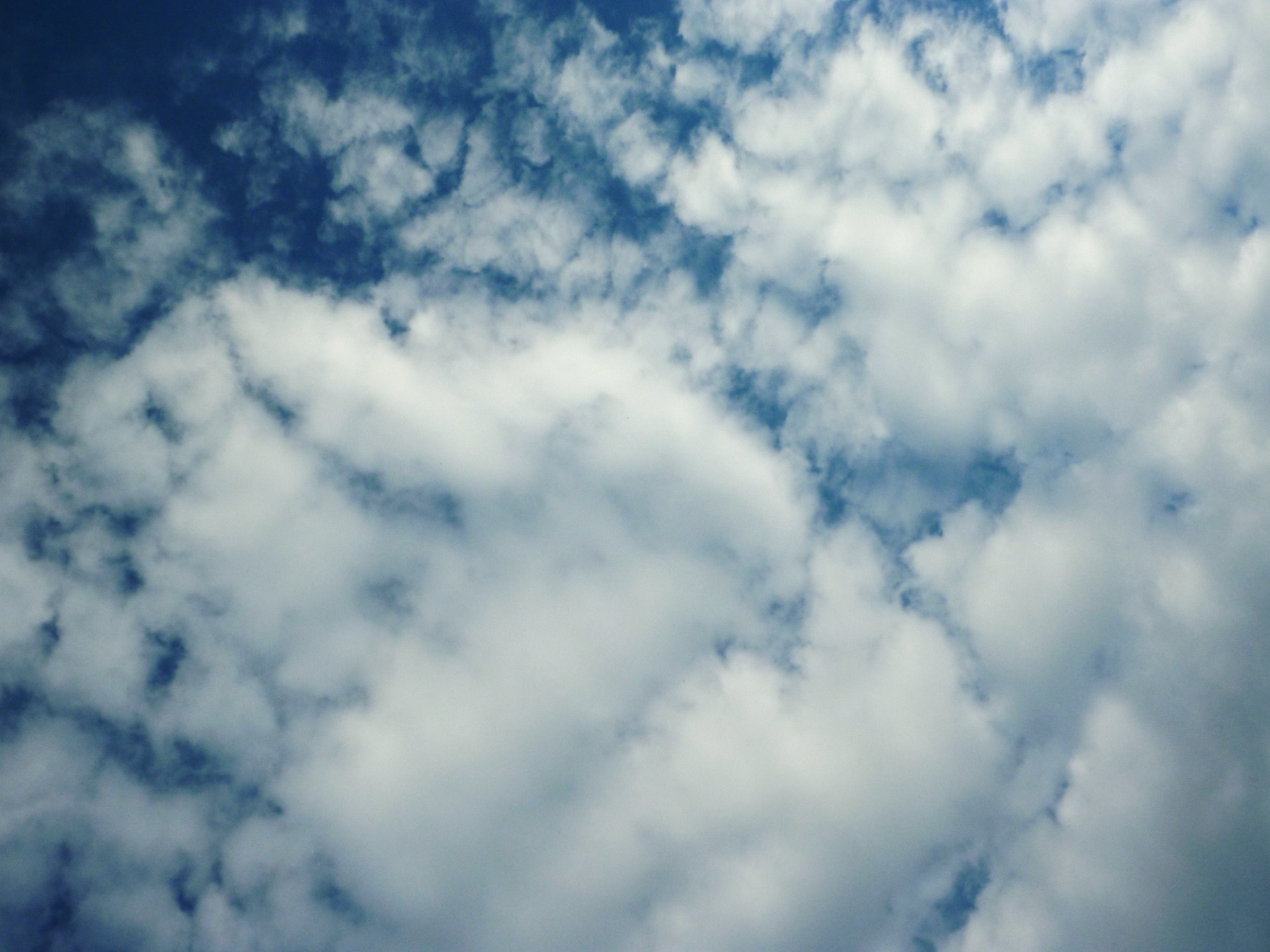 Blue sky with cumulus clouds HD Wallpaper
