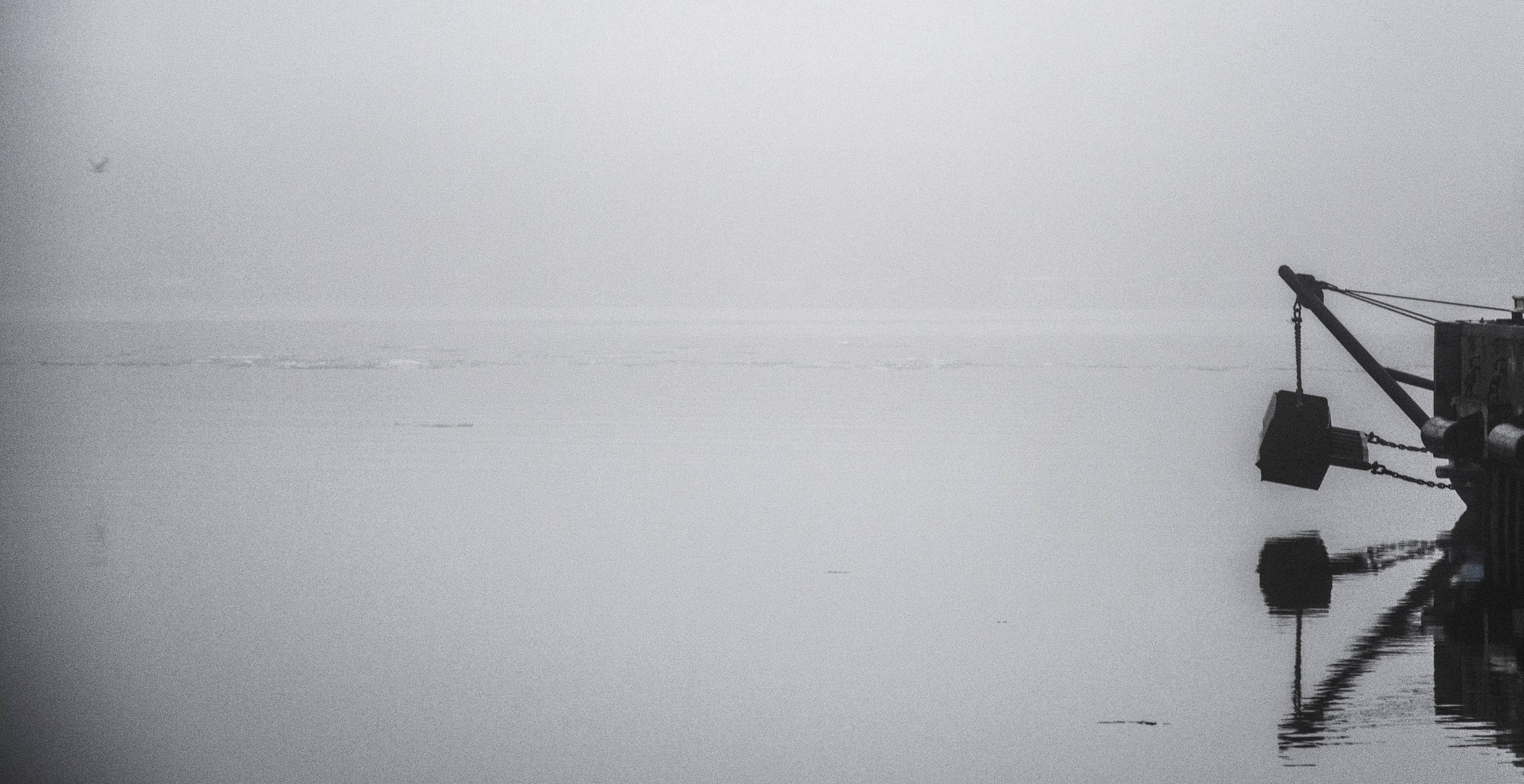 Misty harbor with a crane and a bird HD Wallpaper