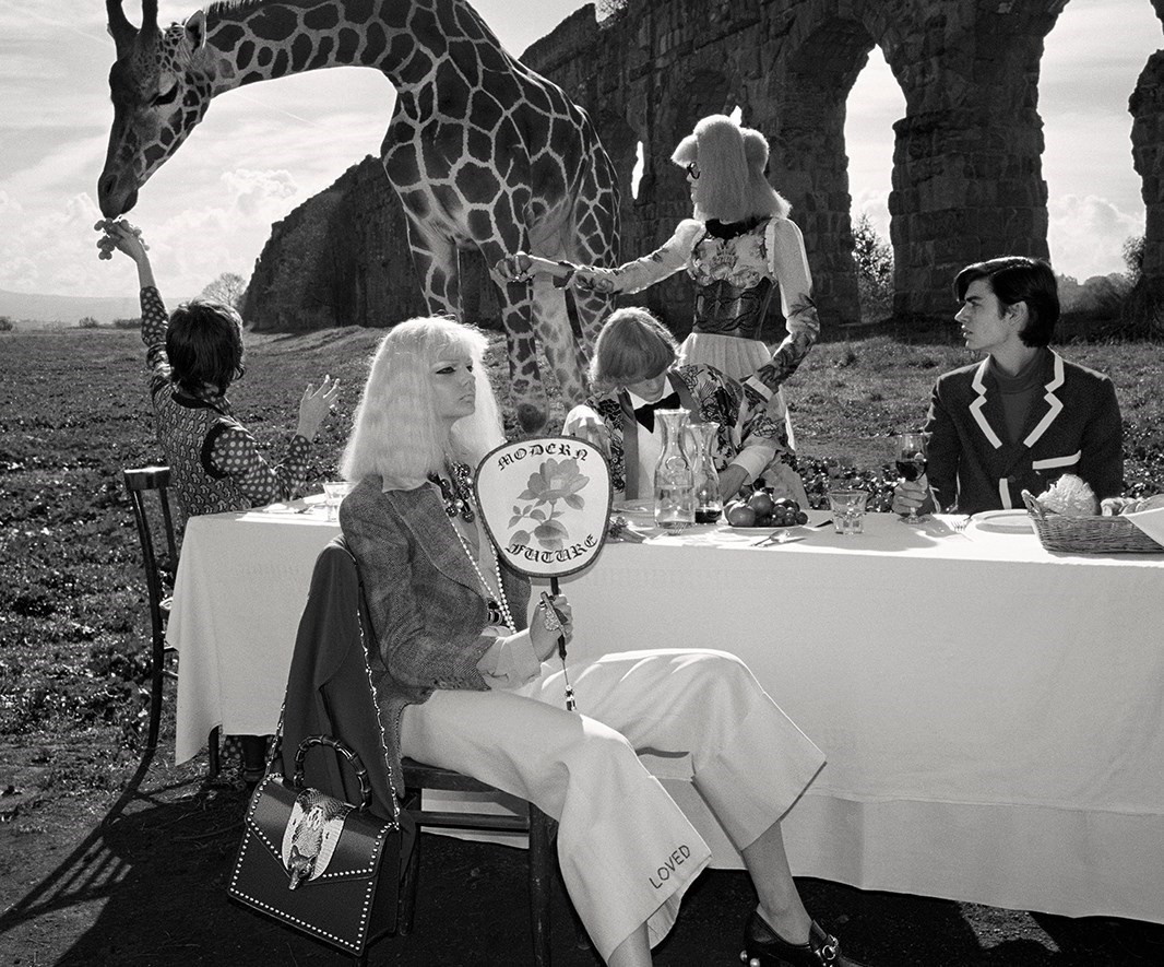 Gucci fashion shoot with people and giraffes HD Wallpaper