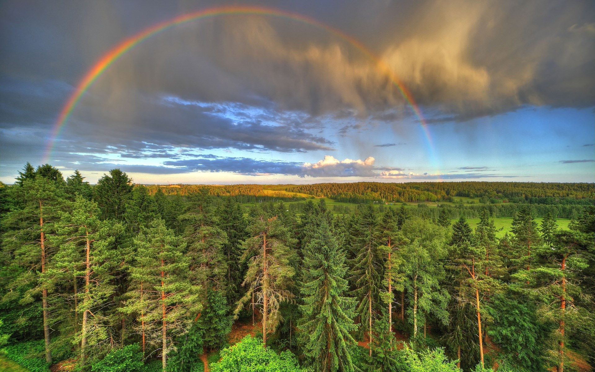 Double rainbow over a dense forest HD Wallpaper