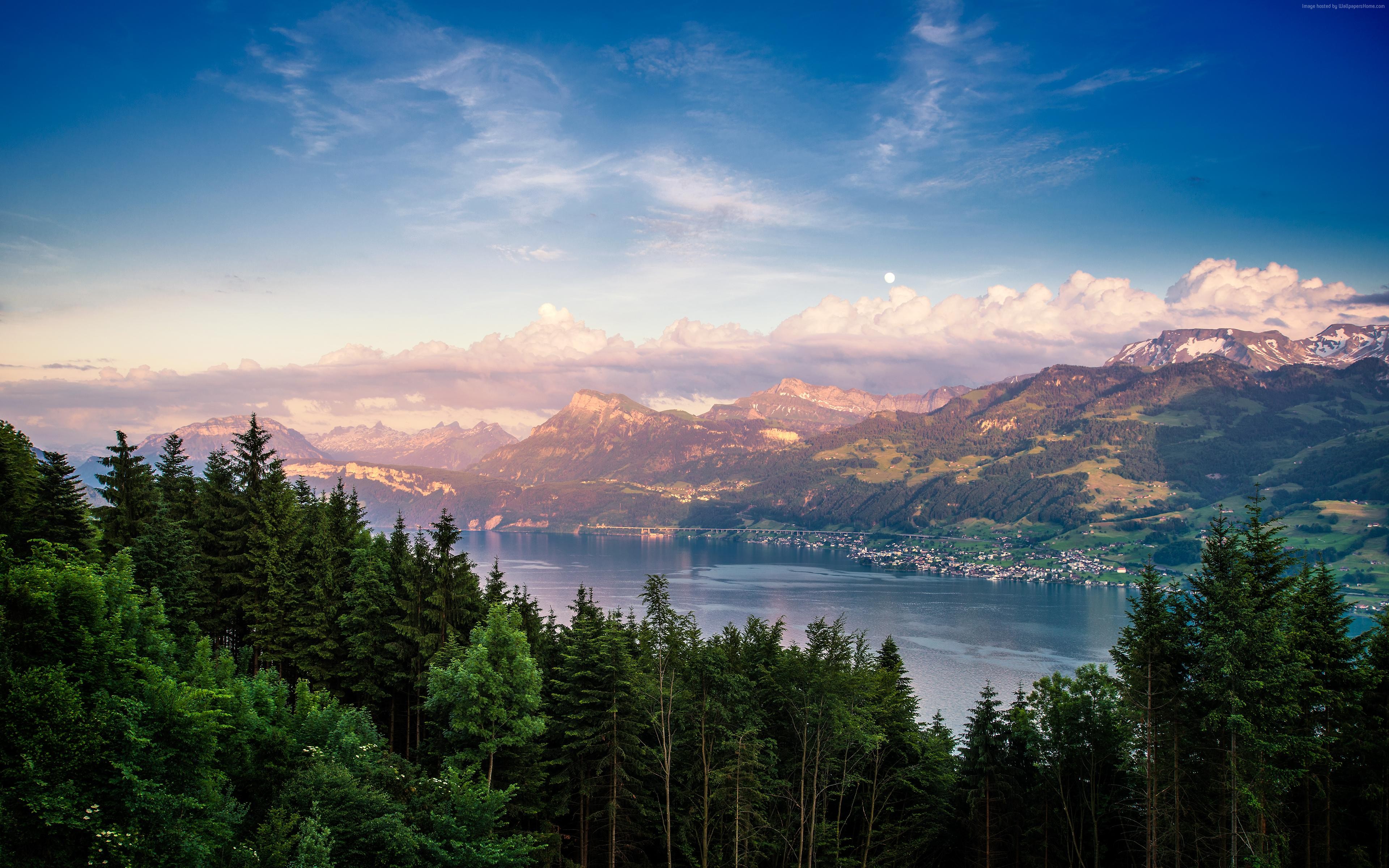 Forest overlooking Lake Zurich and mountains HD Wallpaper