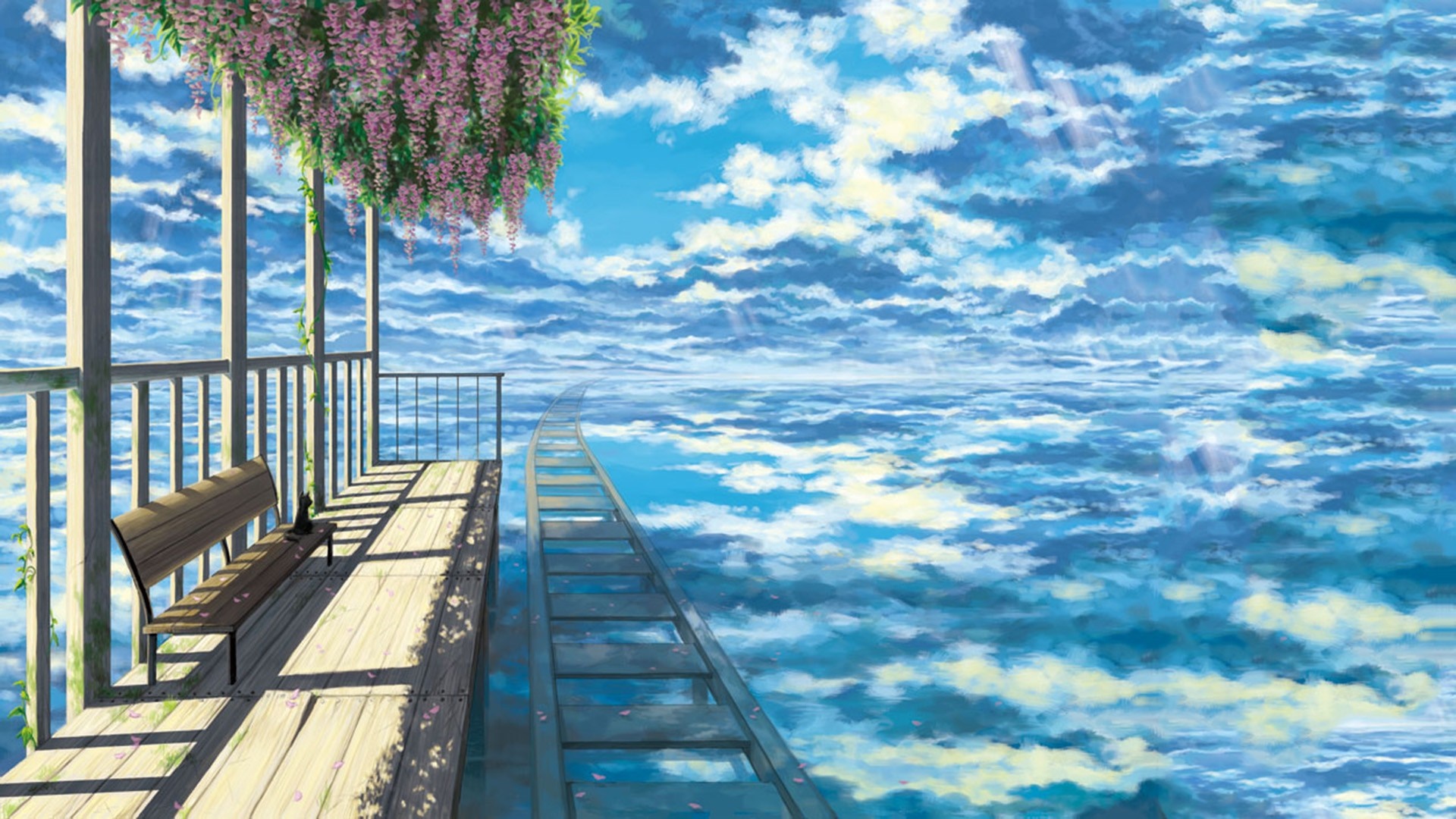 Cat on a bench overlooking the sea and sky HD Wallpaper