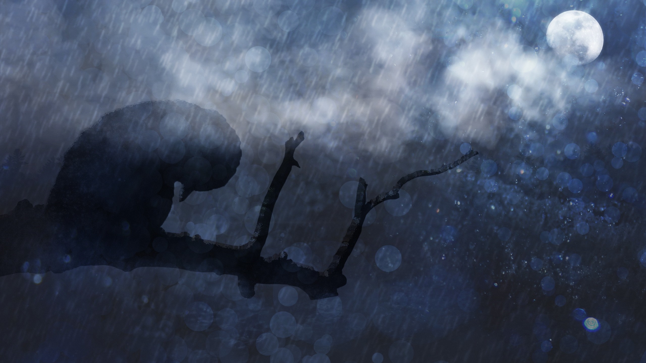 Silhouette of a bird on a branch in the rain under moonlight HD Wallpaper