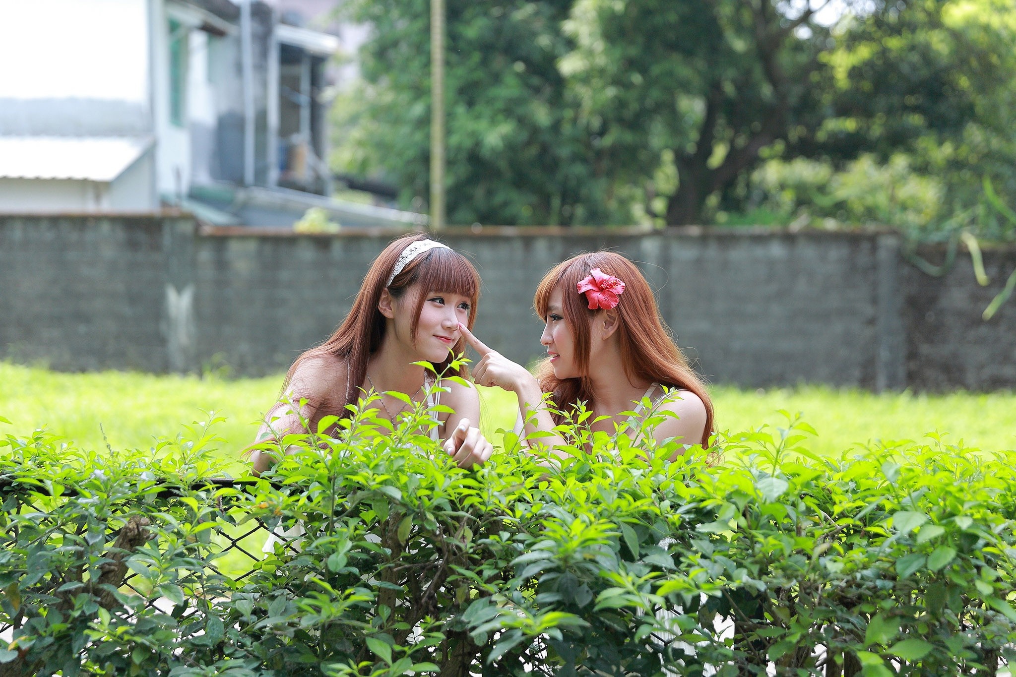 Two women with long hair in a garden HD Wallpaper