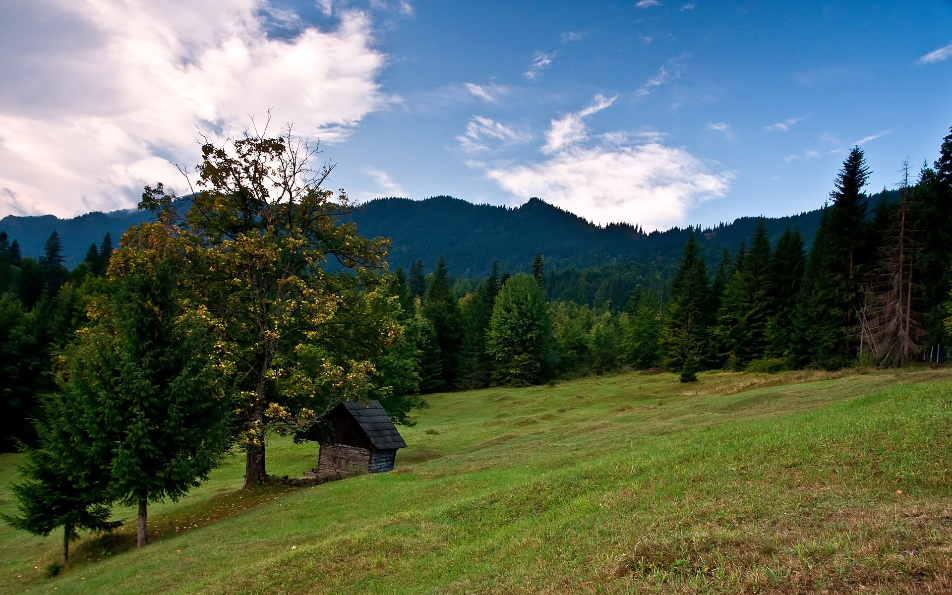 Wooden cabin in a grassy meadow with a forest and mountains HD Wallpaper