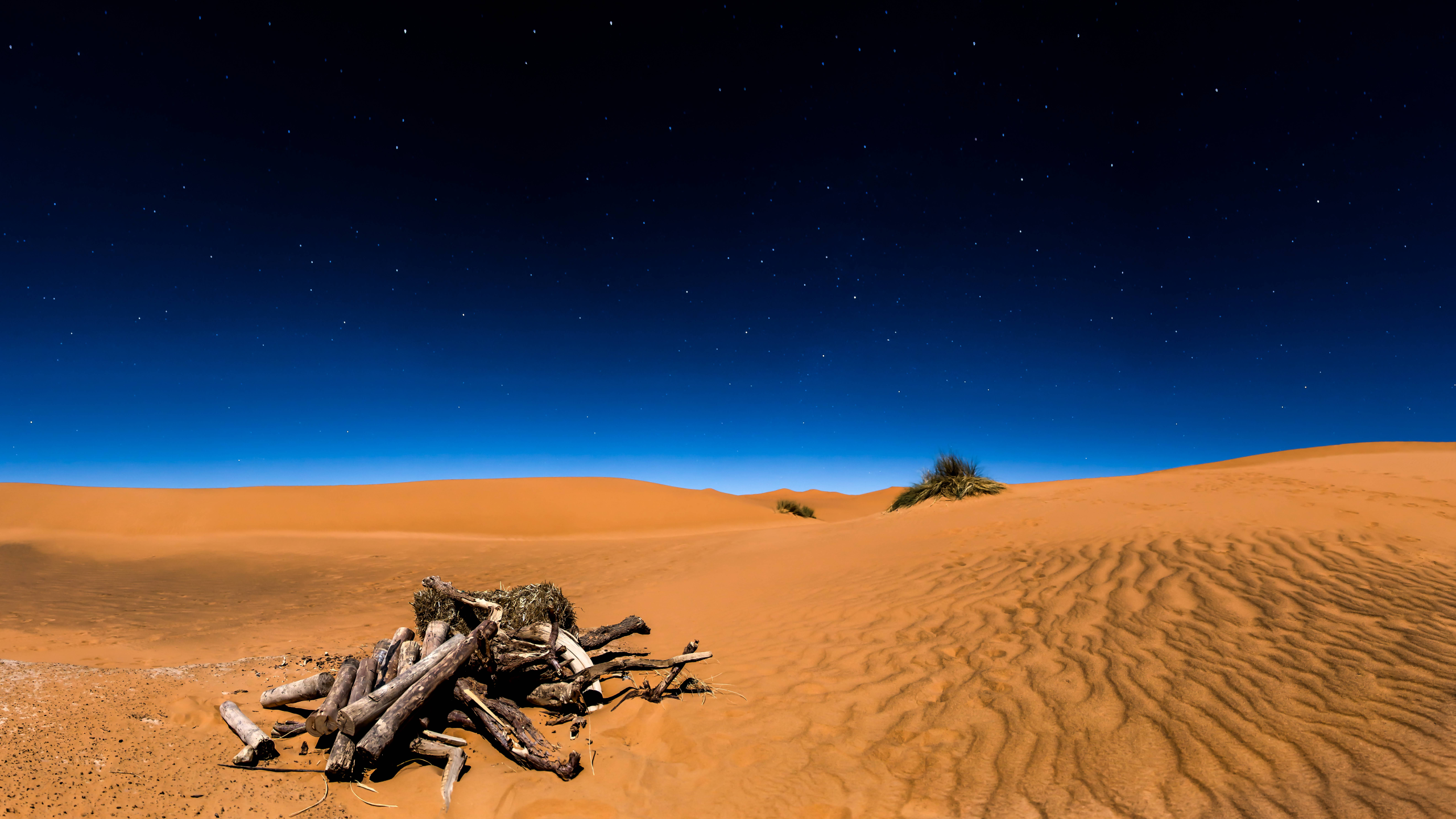 Desert landscape at night with stars and dead wood HD Wallpaper
