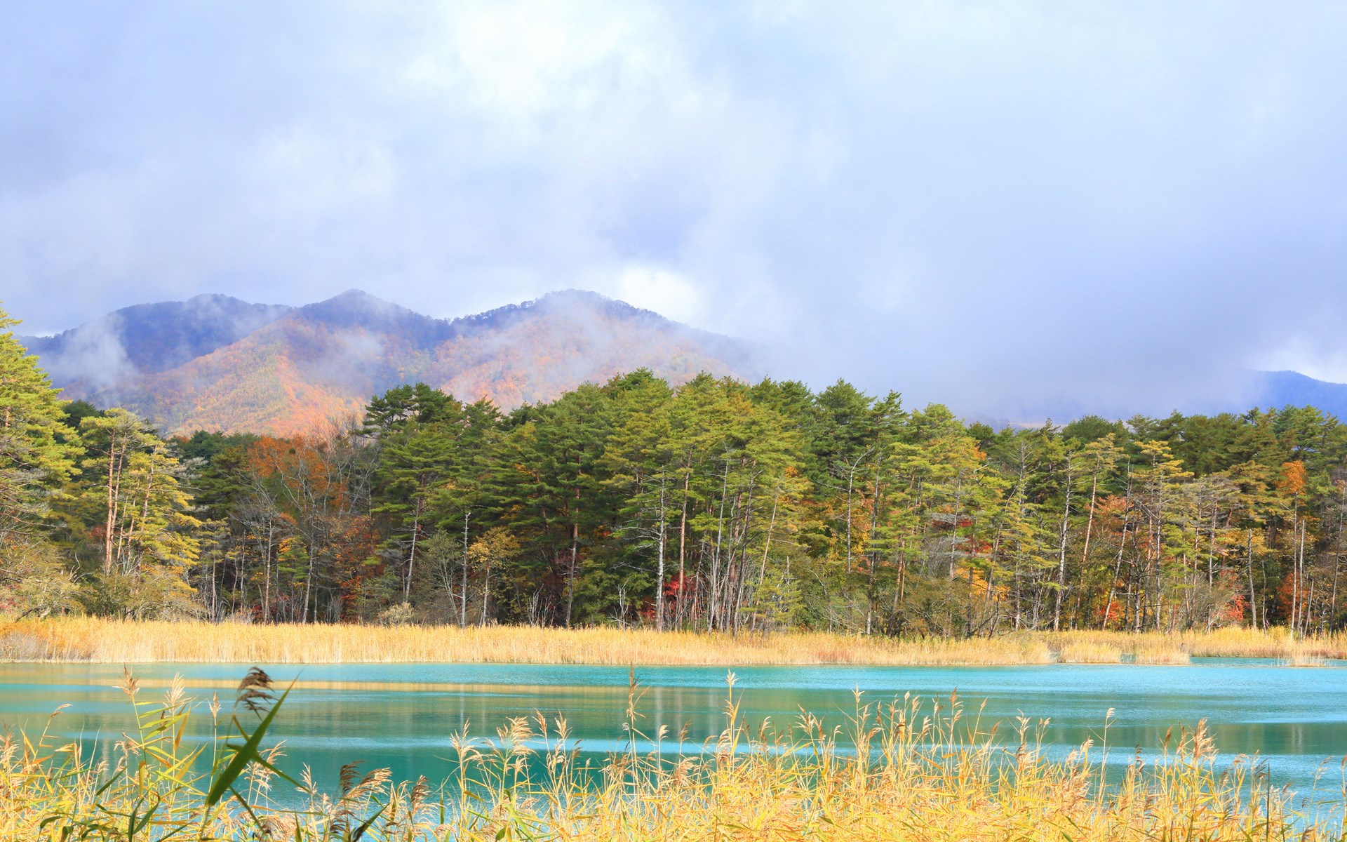 Turquoise lake with autumn trees and misty mountains HD Wallpaper