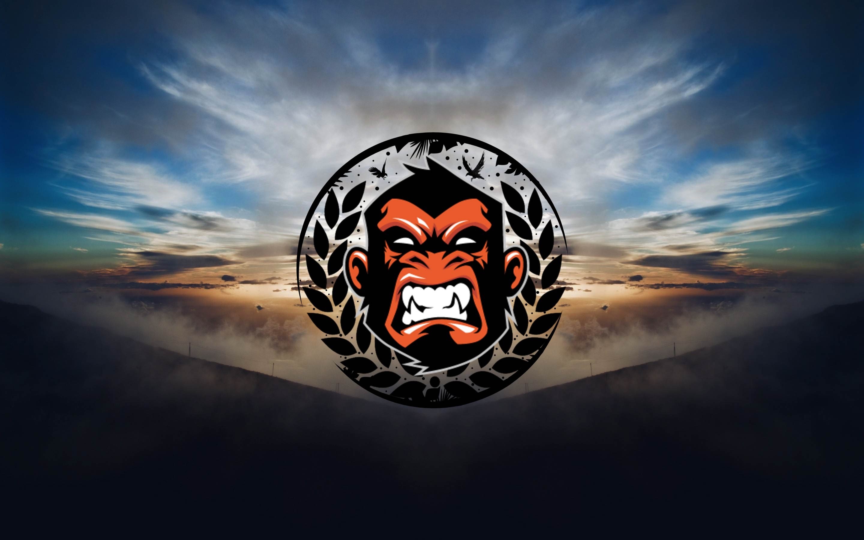 Angry monkey logo against a cloudy sky HD Wallpaper