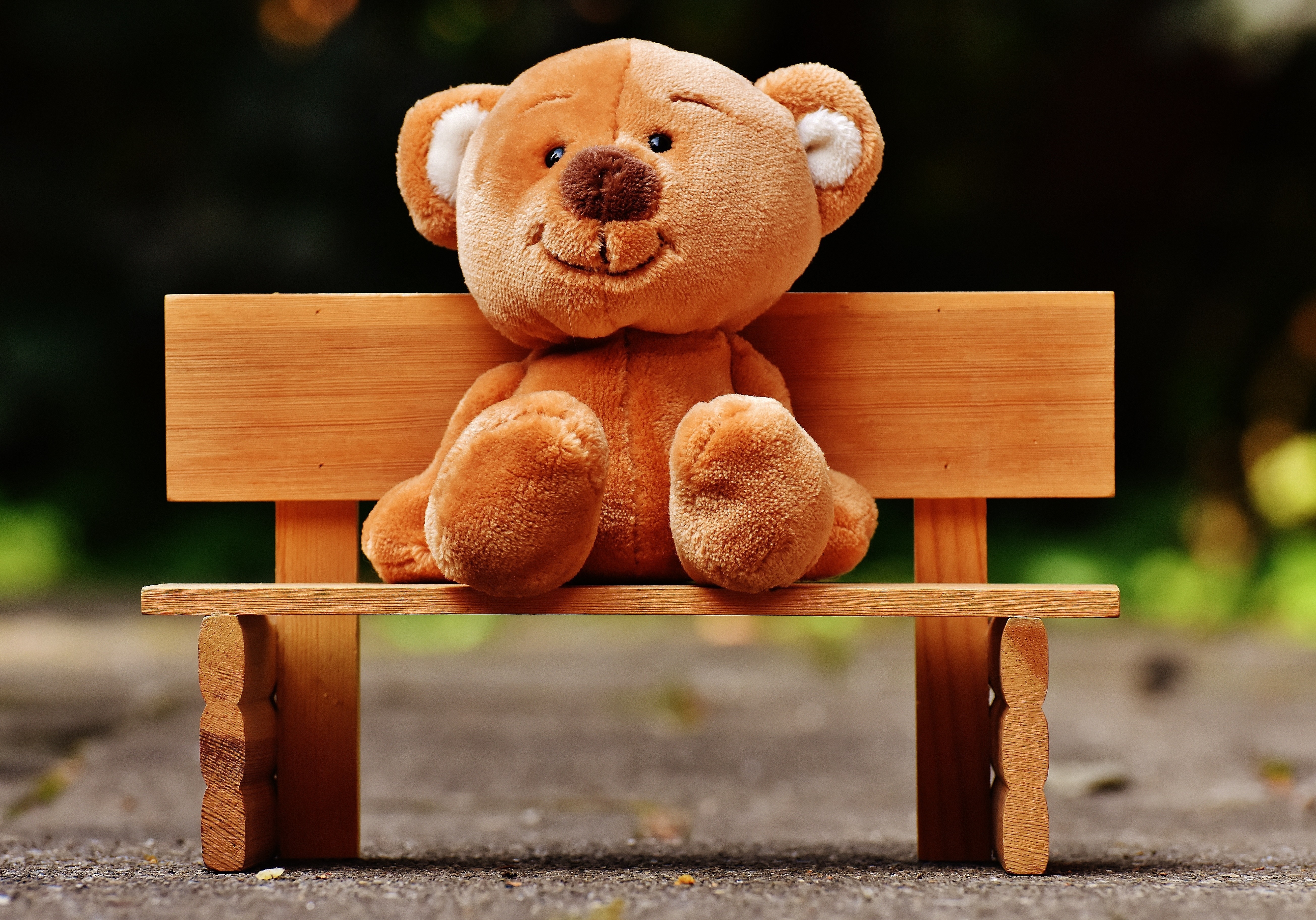Teddy bear sitting on a wooden bench outdoors HD Wallpaper