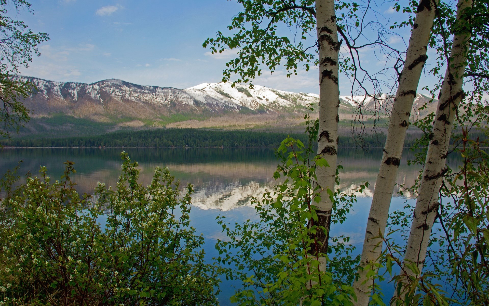 Lake with snow-capped mountains and birch trees HD Wallpaper