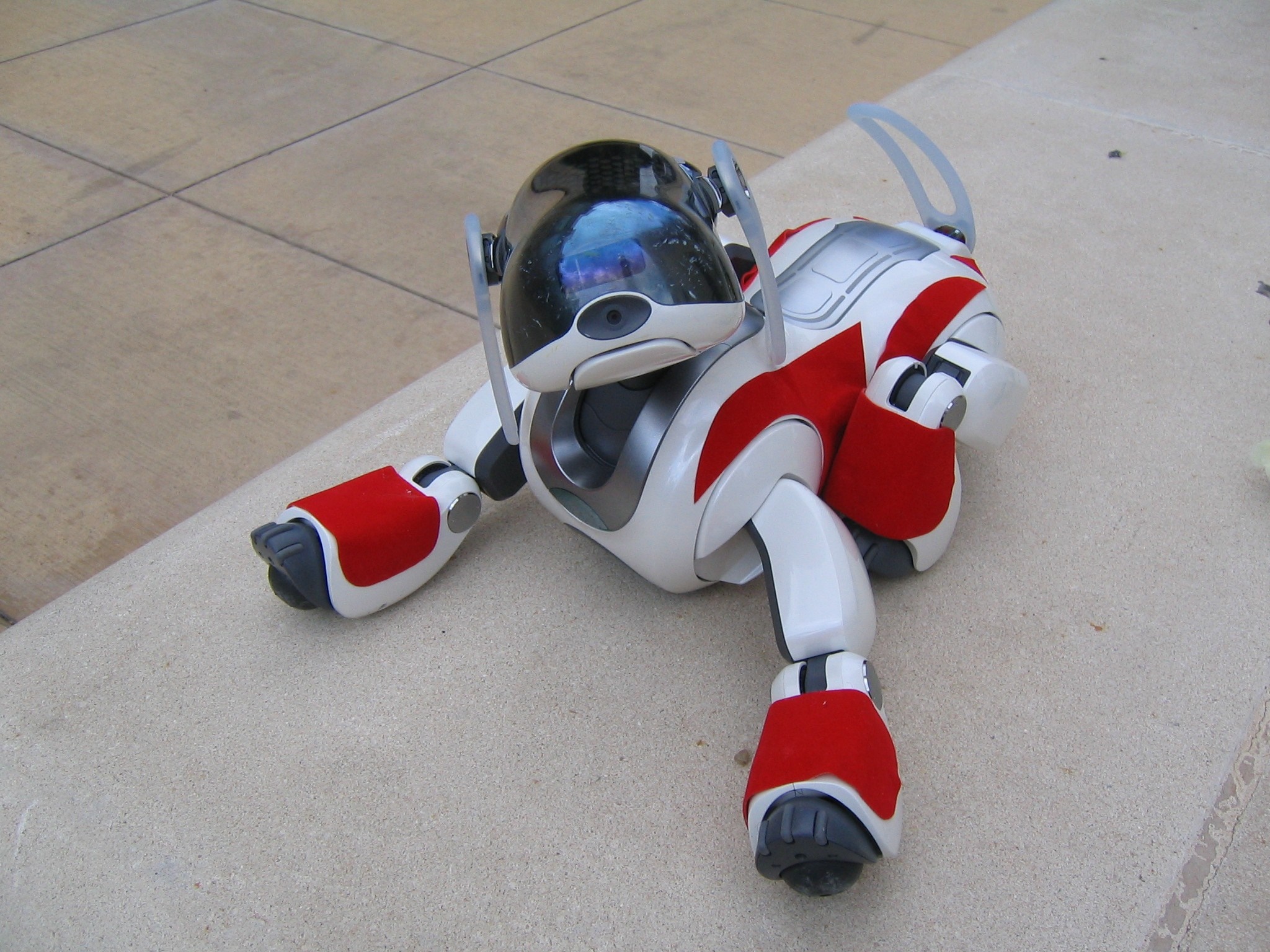 White and red AIBO robot dog lying down HD Wallpaper