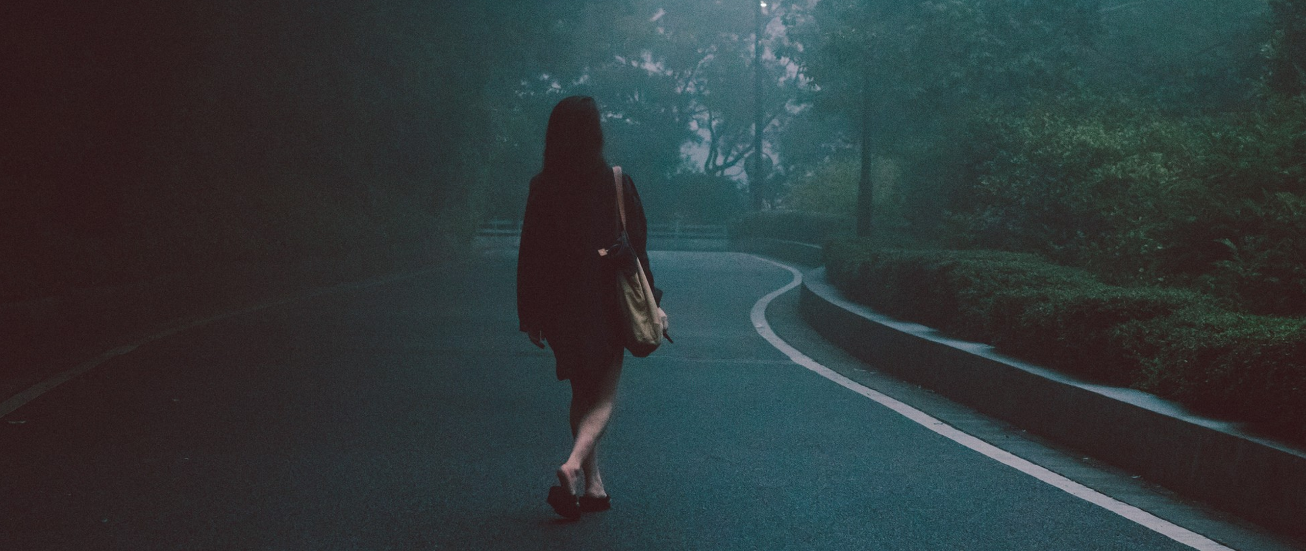 Person walking in a foggy forest at night HD Wallpaper