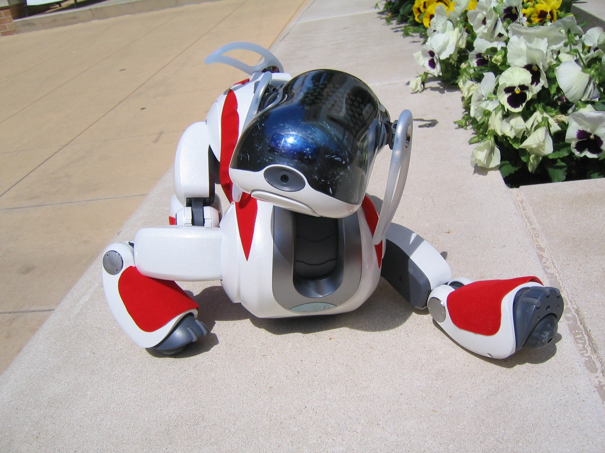 Sony AIBO robot dog on a ledge HD Wallpaper
