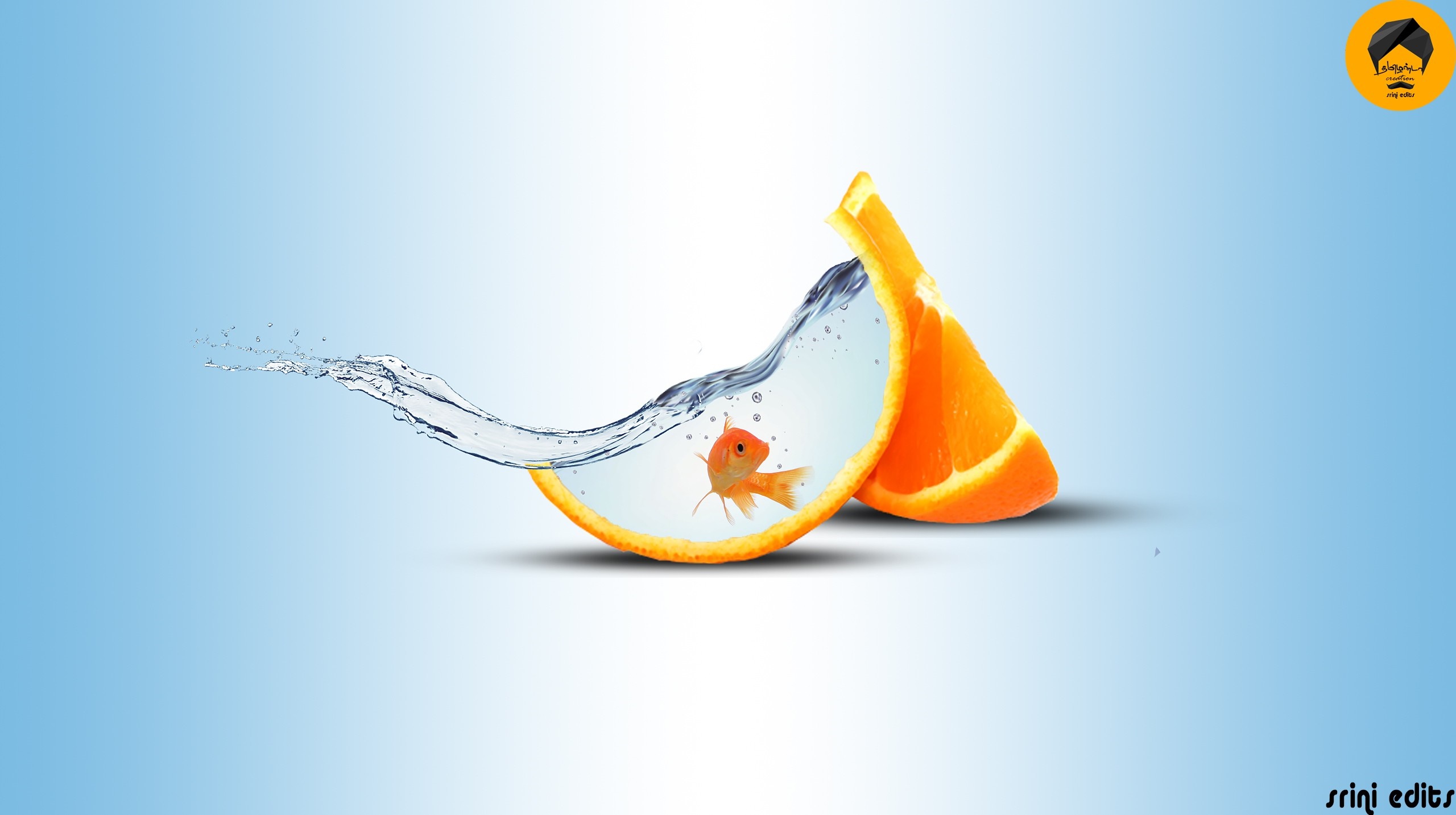 Goldfish in an orange slice with water splash HD Wallpaper