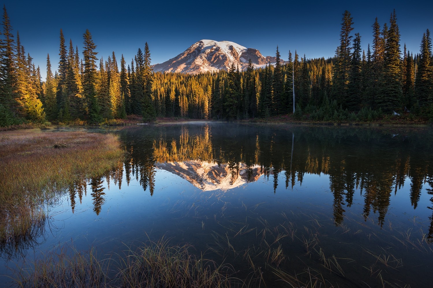 Mount Rainier reflected in a calm lake surrounded by pine trees HD Wallpaper