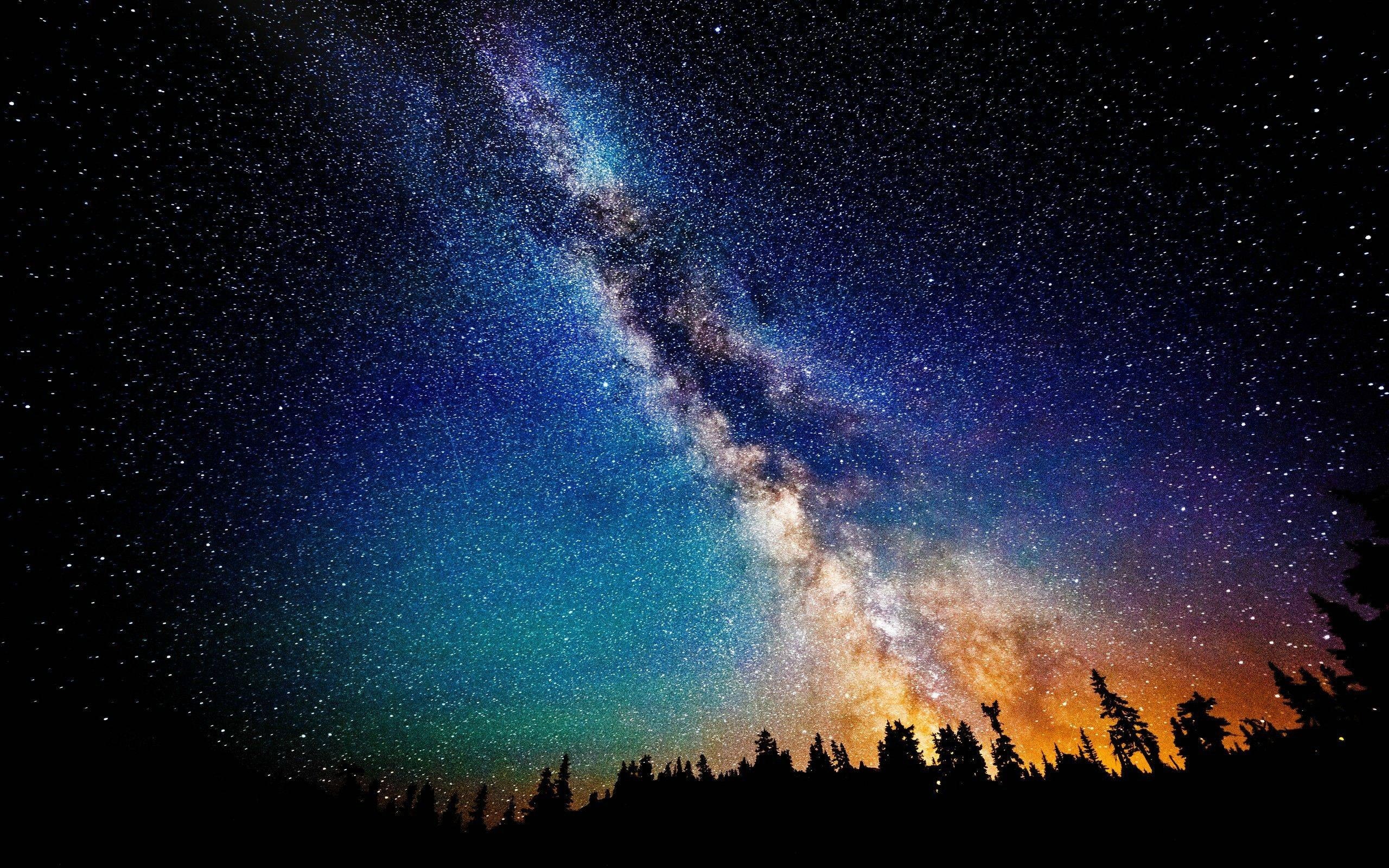The Milky Way galaxy over a silhouetted forest at night HD Wallpaper