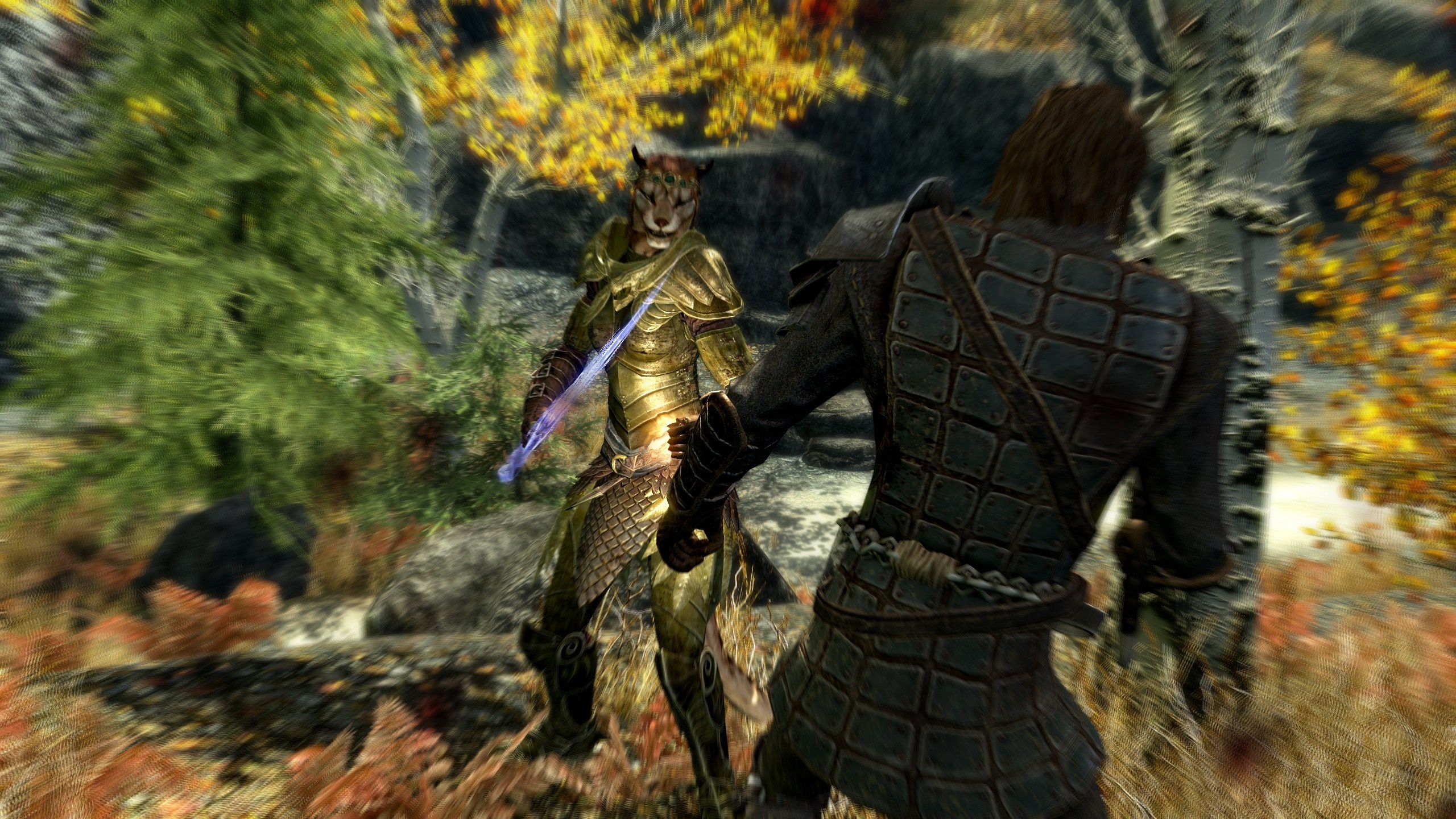 Khajiit warrior from The Elder Scrolls V Skyrim with sword HD Wallpaper