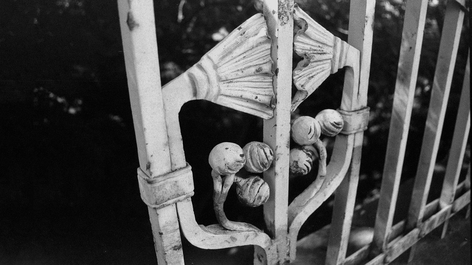 Monochrome photograph of ornate garden fence detail HD Wallpaper