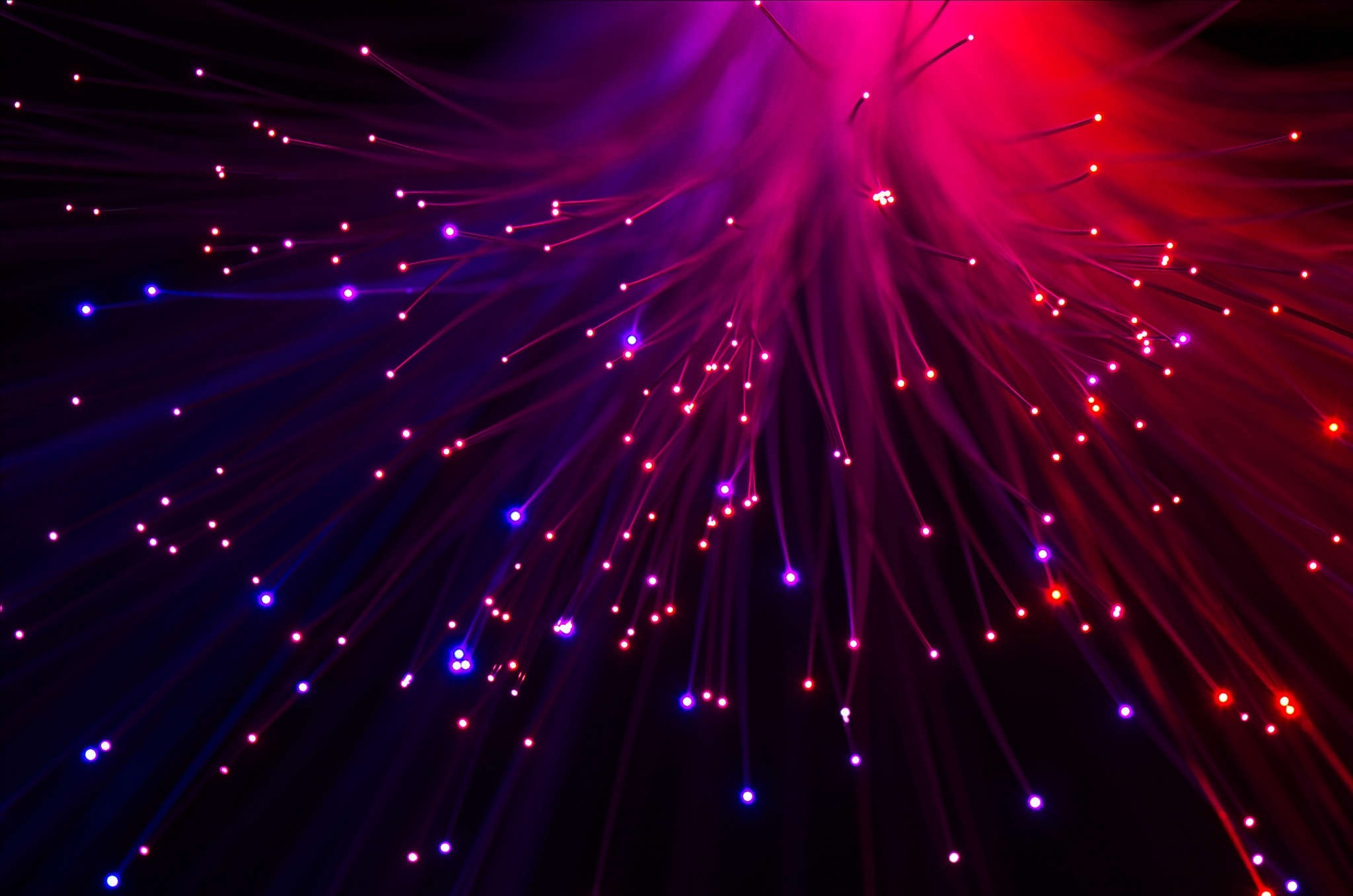 Abstract glowing fiber optic lights in purple and red HD Wallpaper