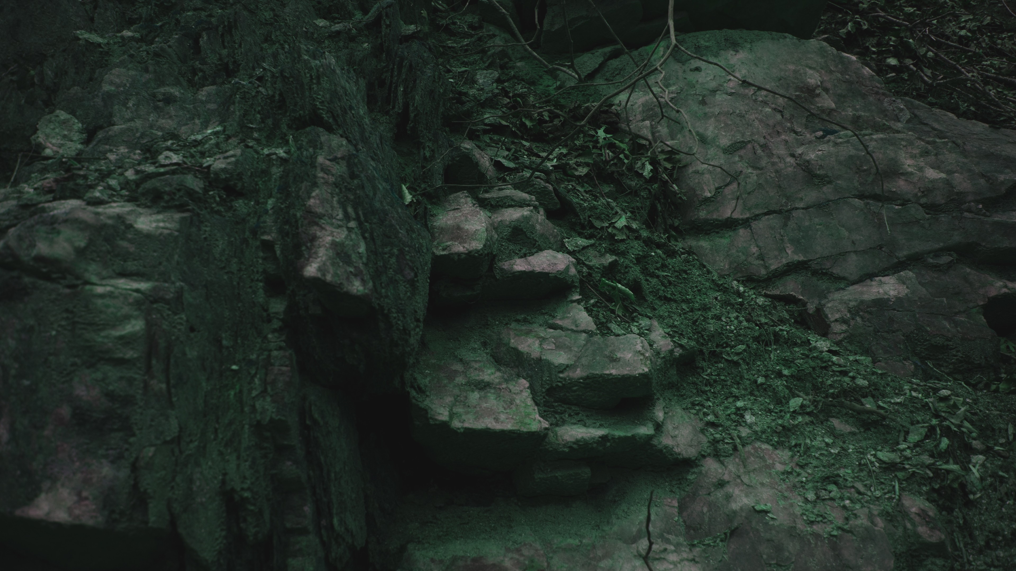 Rocky cliff face with moss and vines HD Wallpaper