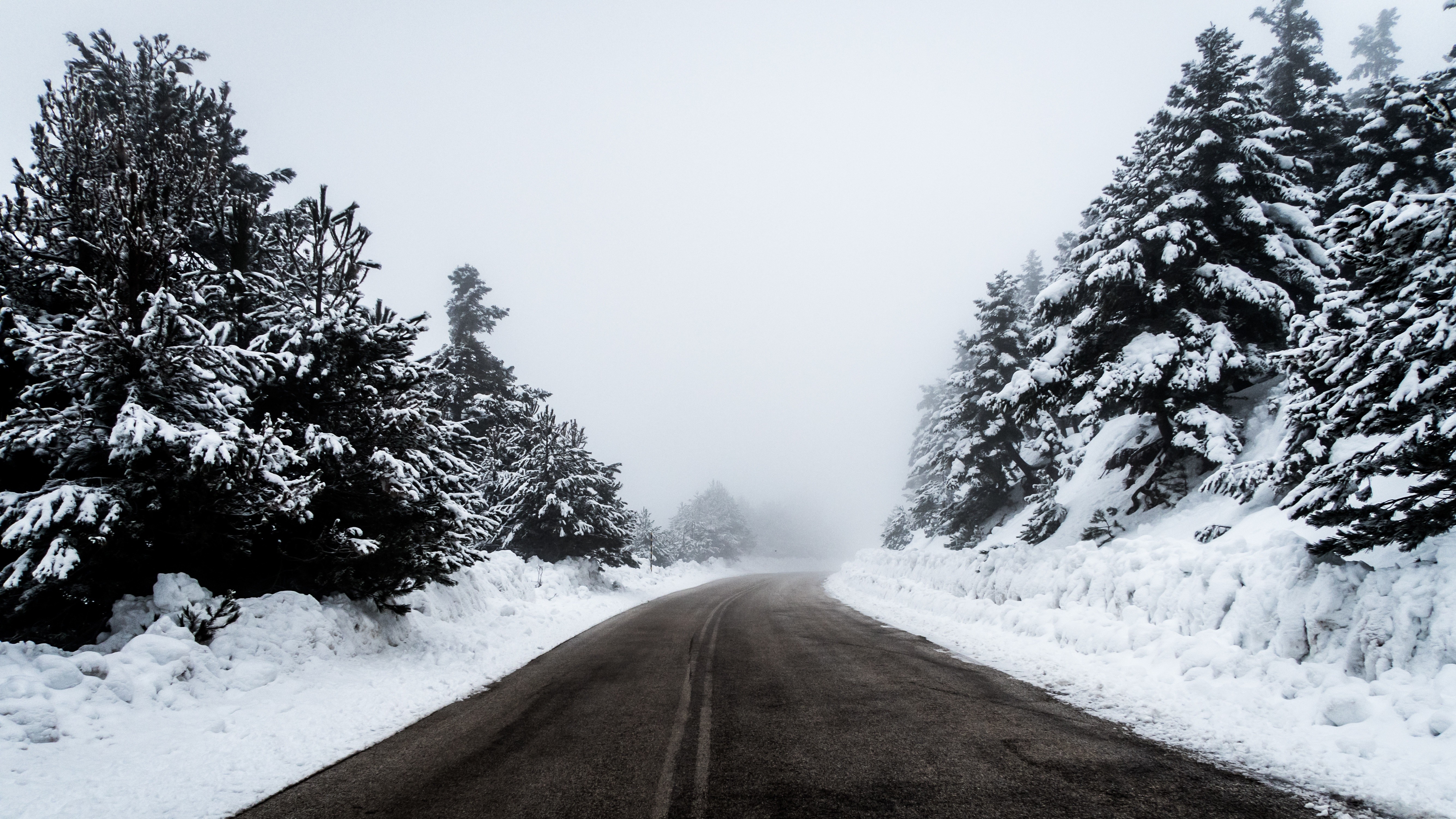 Snowy road through a foggy winter forest HD Wallpaper