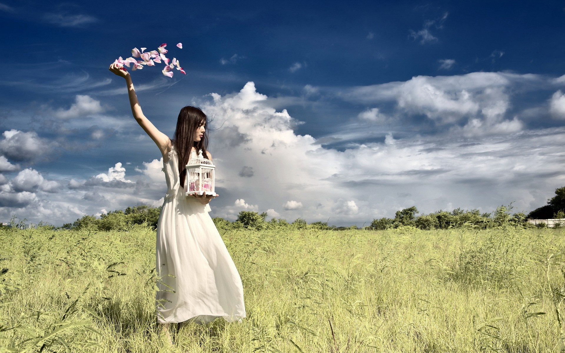 Woman in white dress releasing petals from a birdcage in a field HD Wallpaper