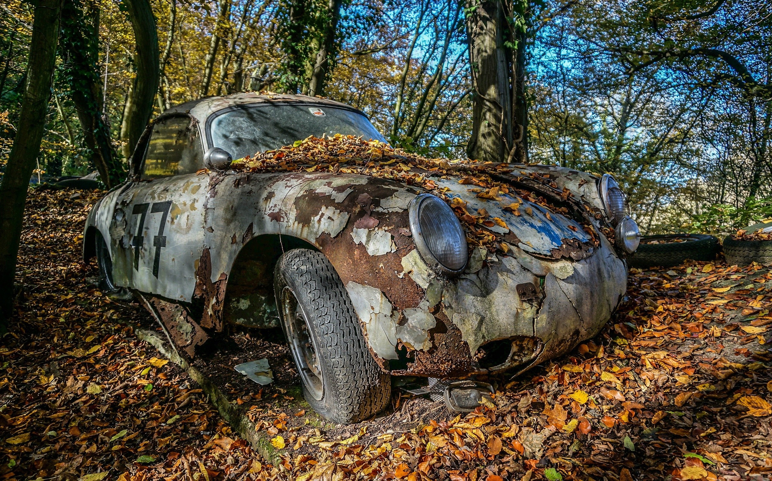 Abandoned Porsche car in a forest during autumn HD Wallpaper