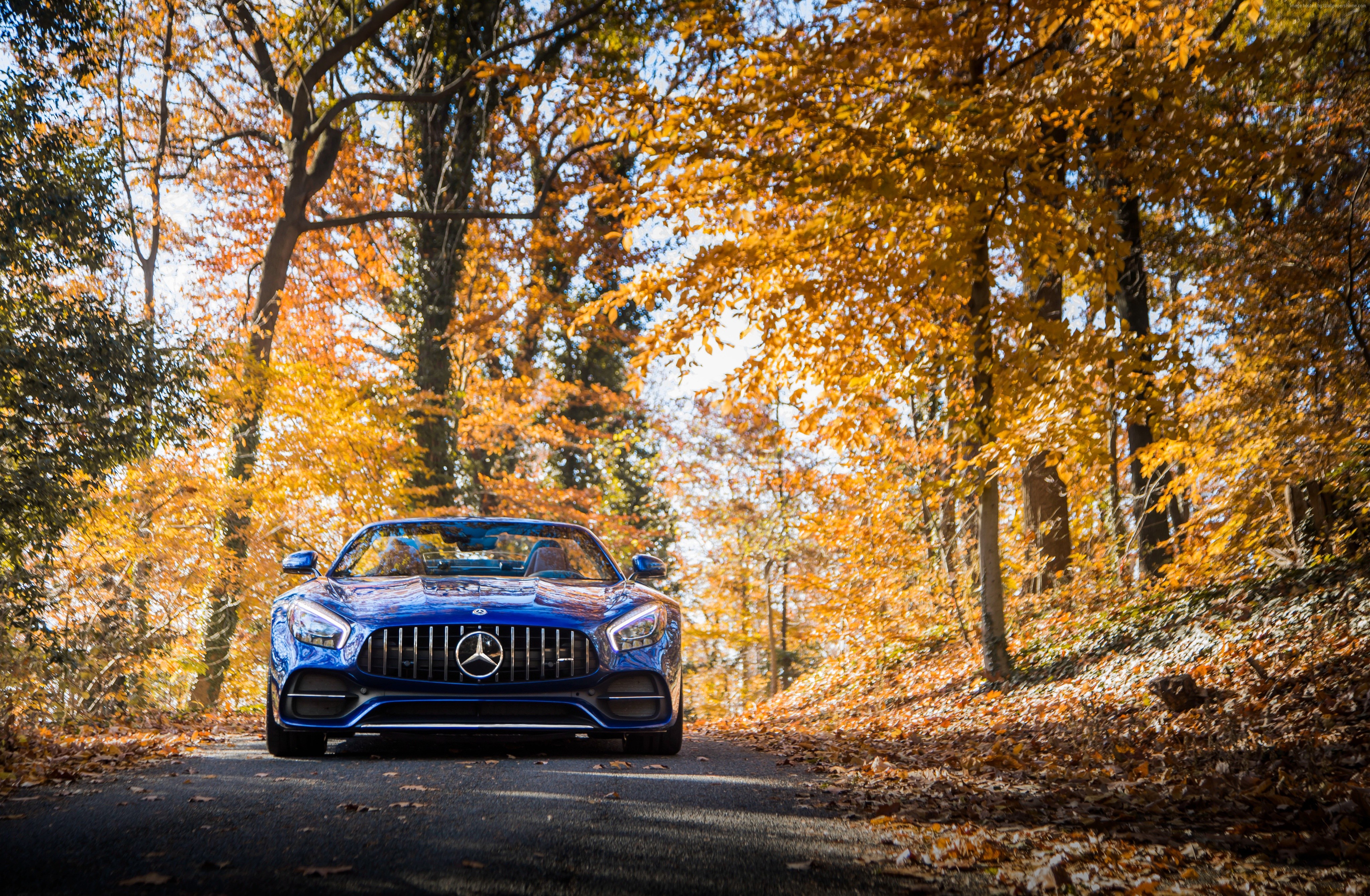 4K Mercedes AMG GT C Convertible in Autumn Forest HD Wallpaper