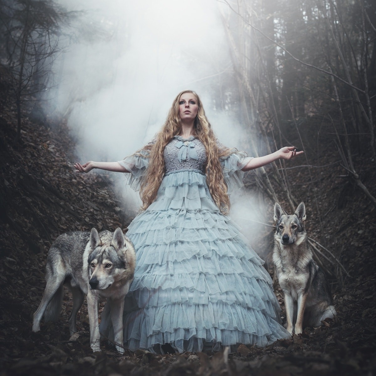 Woman in a blue dress with wolves in a foggy forest HD Wallpaper