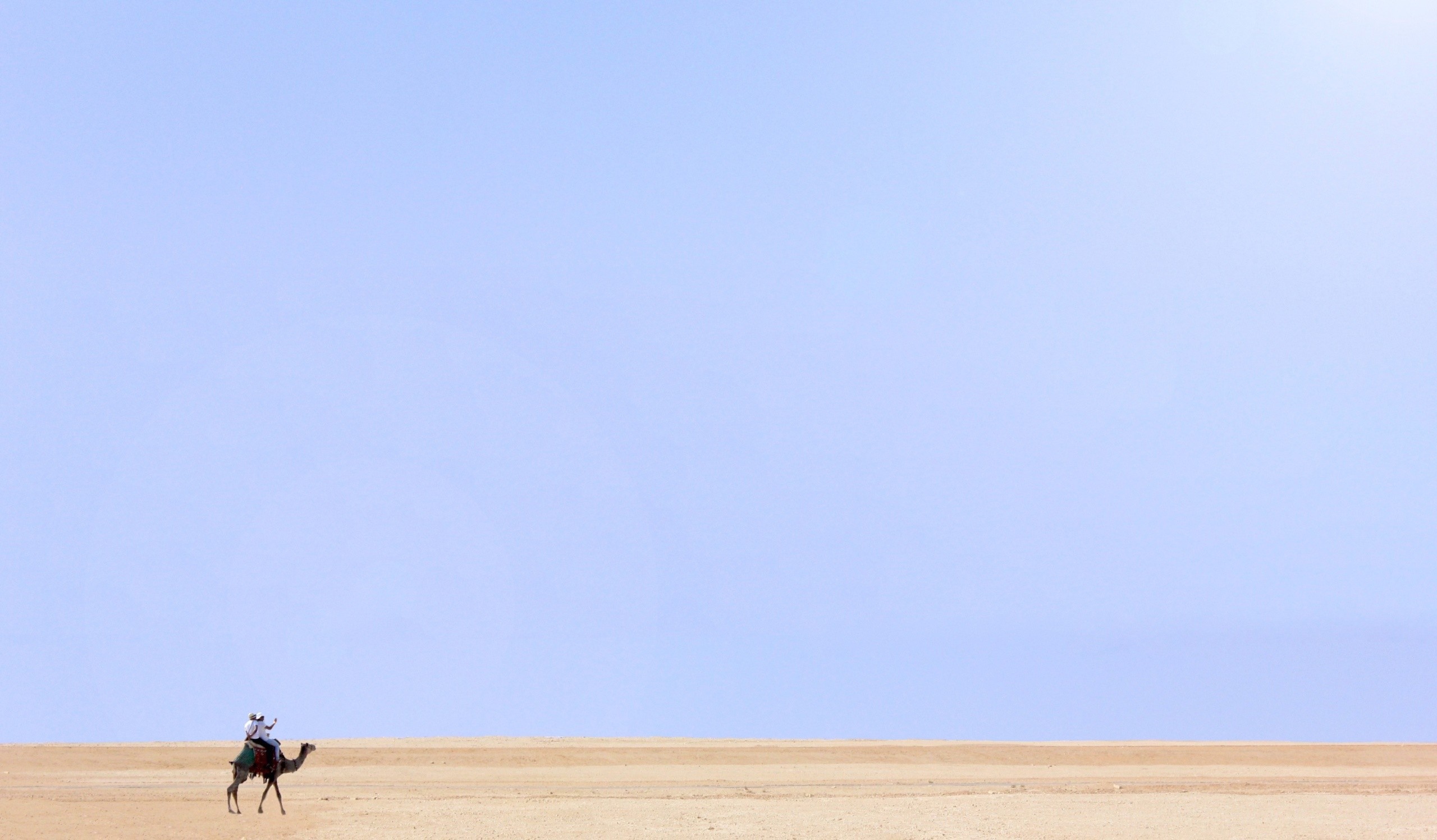 Camel rider in the desert under a clear sky HD Wallpaper