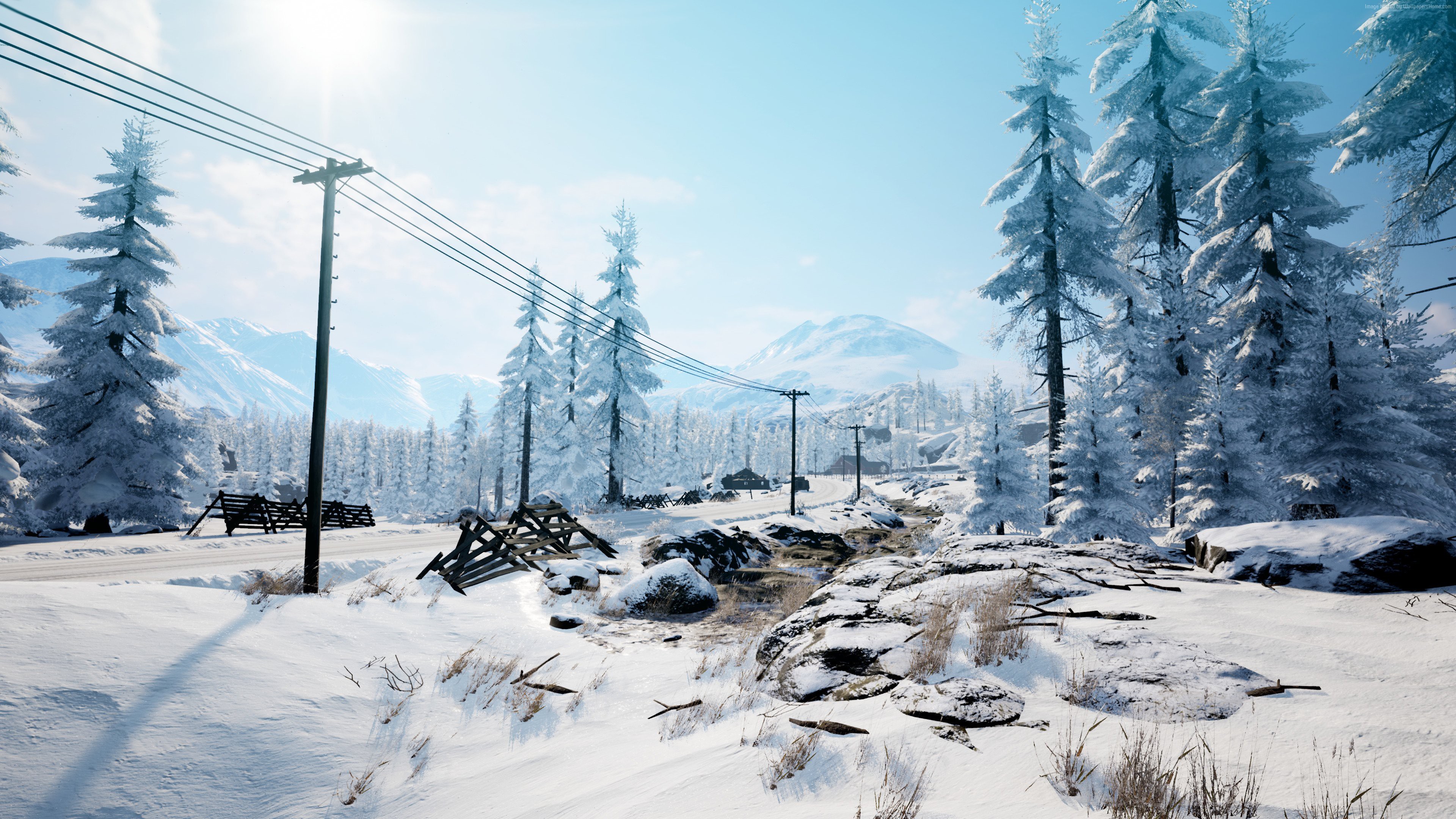 Vigor screenshot 4K HD Wallpaper