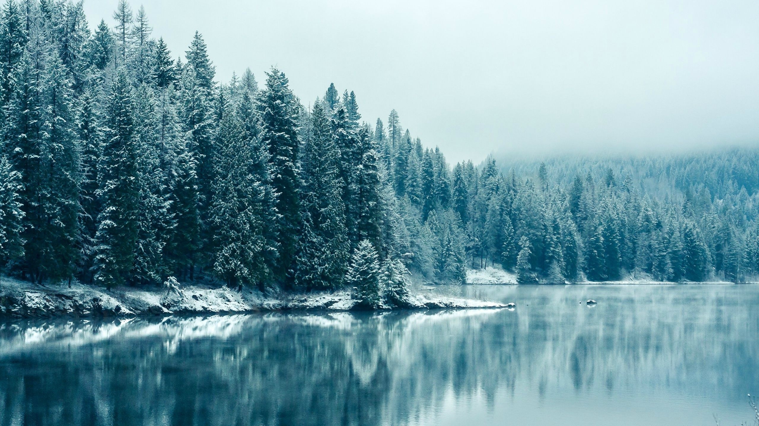 Snow-covered forest reflected in a calm lake HD Wallpaper