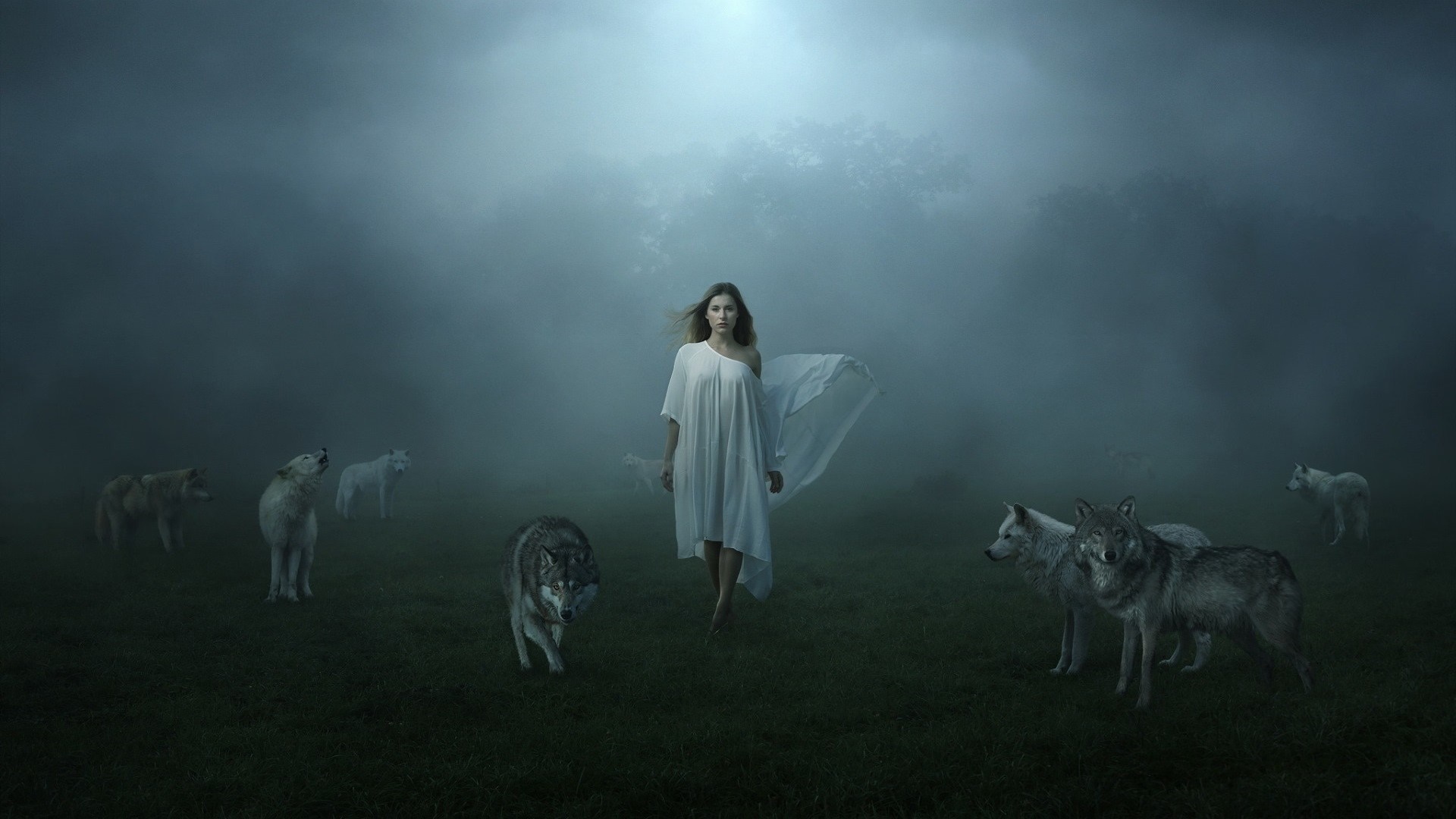 Woman in white dress surrounded by wolves in fog HD Wallpaper