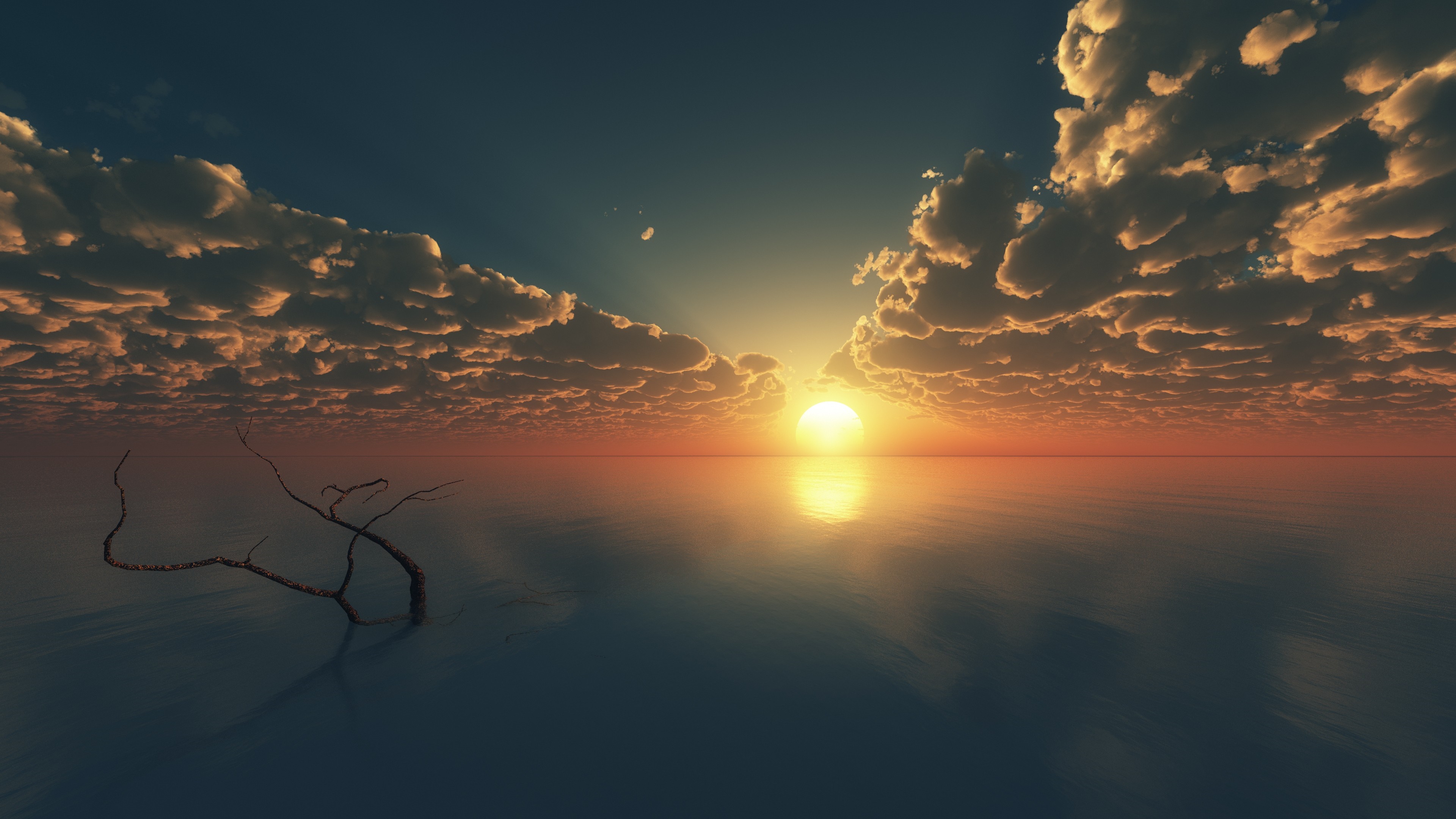 Sunset over the sea with clouds and a dead tree HD Wallpaper