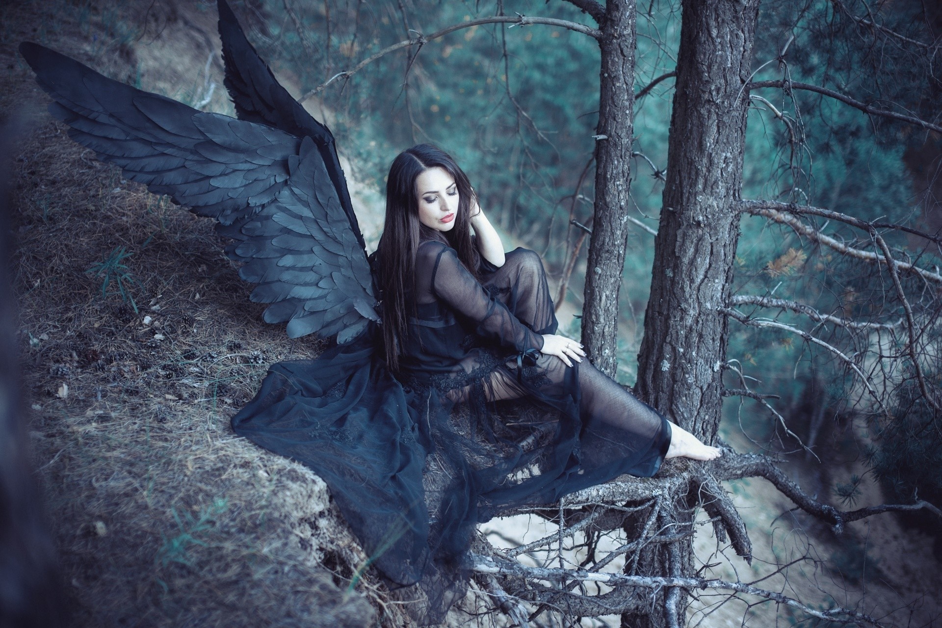 Woman with black wings in a forest HD Wallpaper