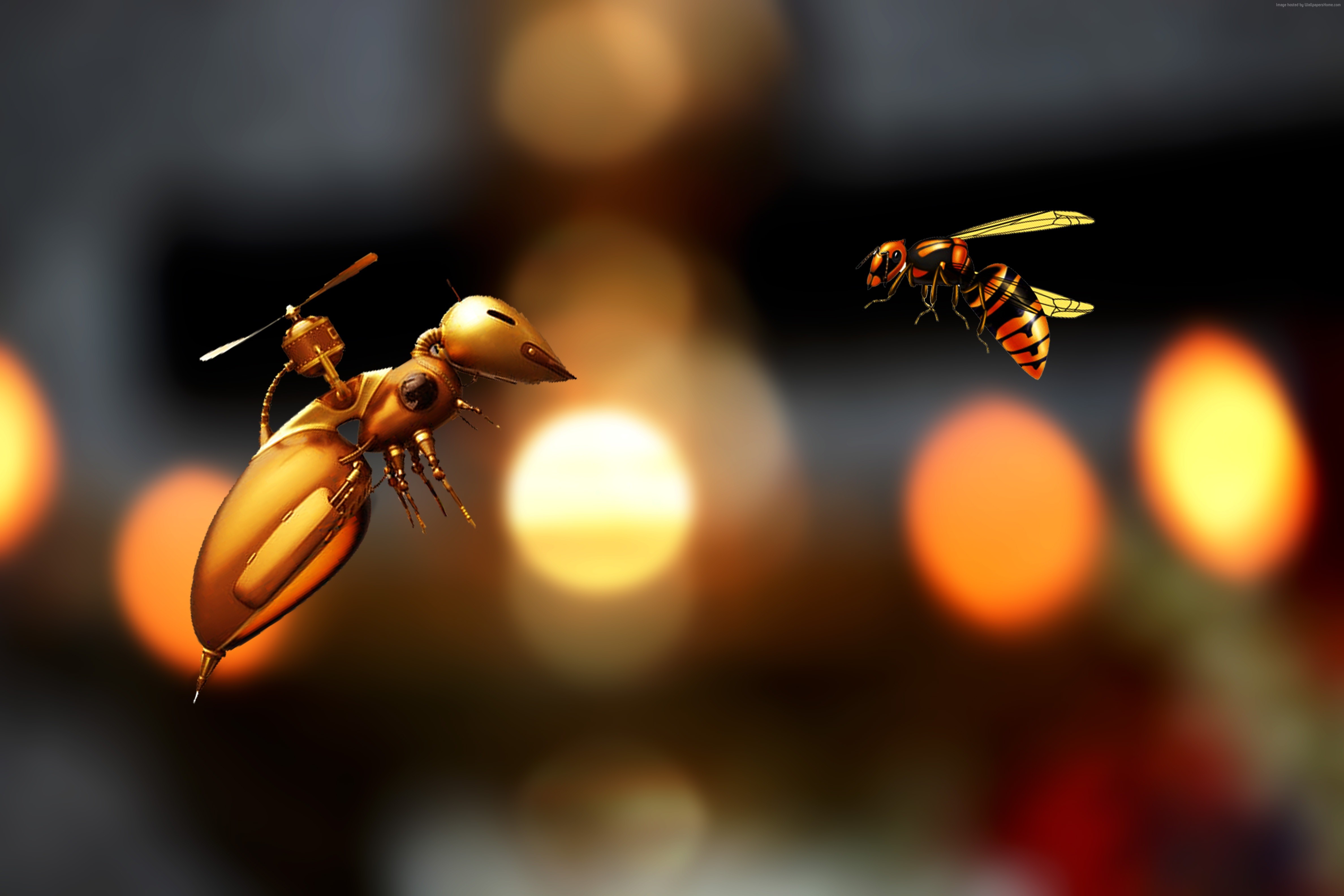 Steampunk robot bee and a real bee HD Wallpaper