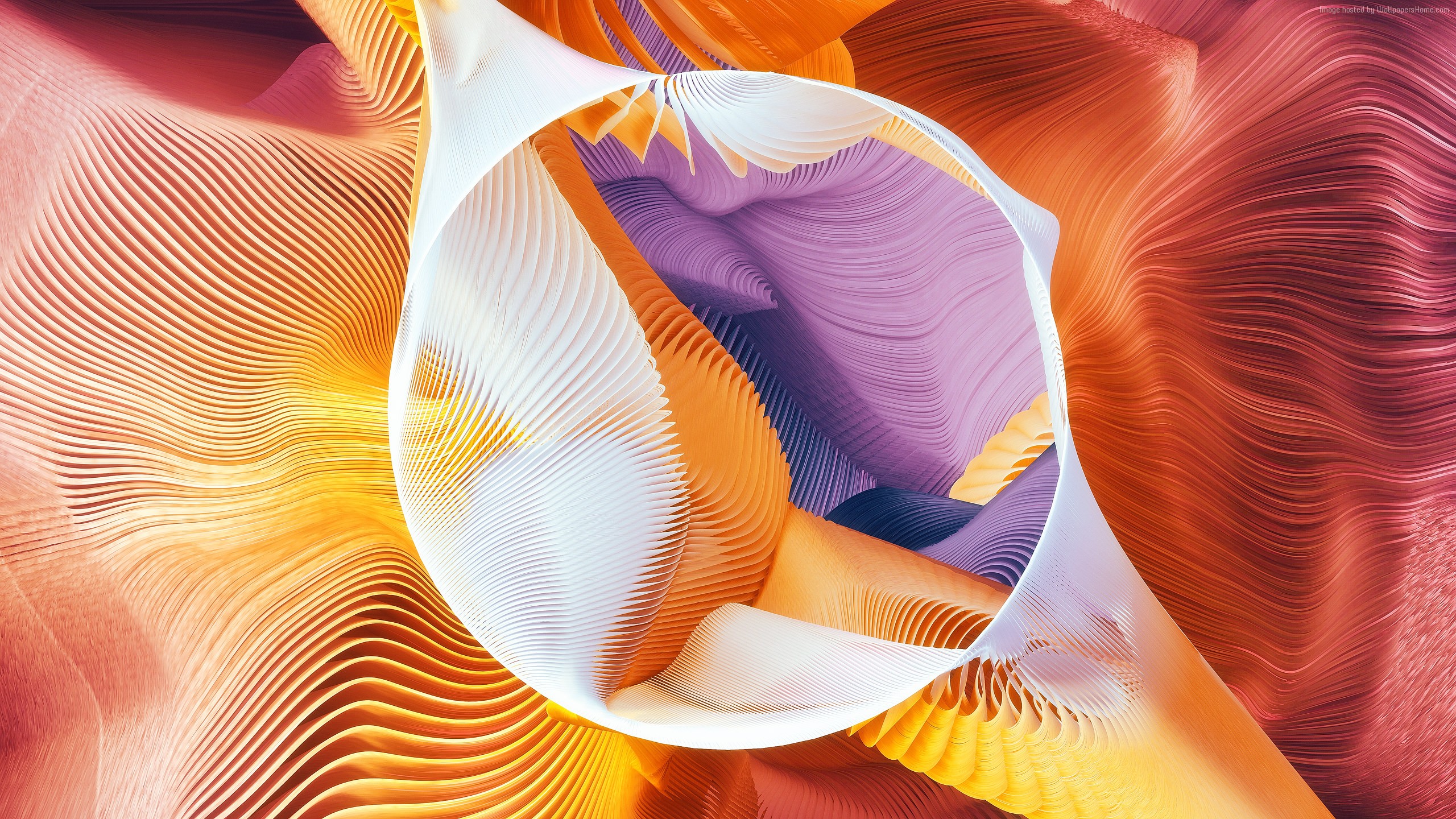 Abstract 3D render with colorful wavy patterns and a circle HD Wallpaper