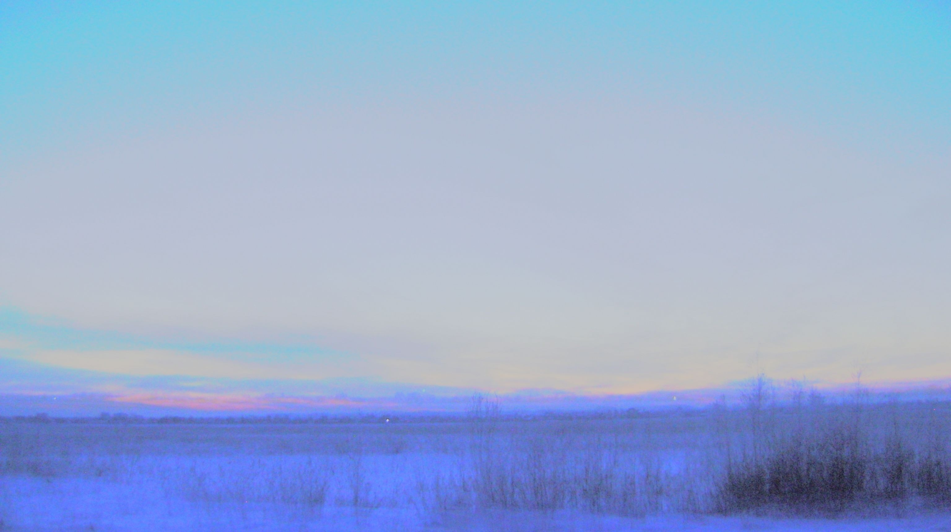 Blue and pink sky over a snowy field at dusk HD Wallpaper