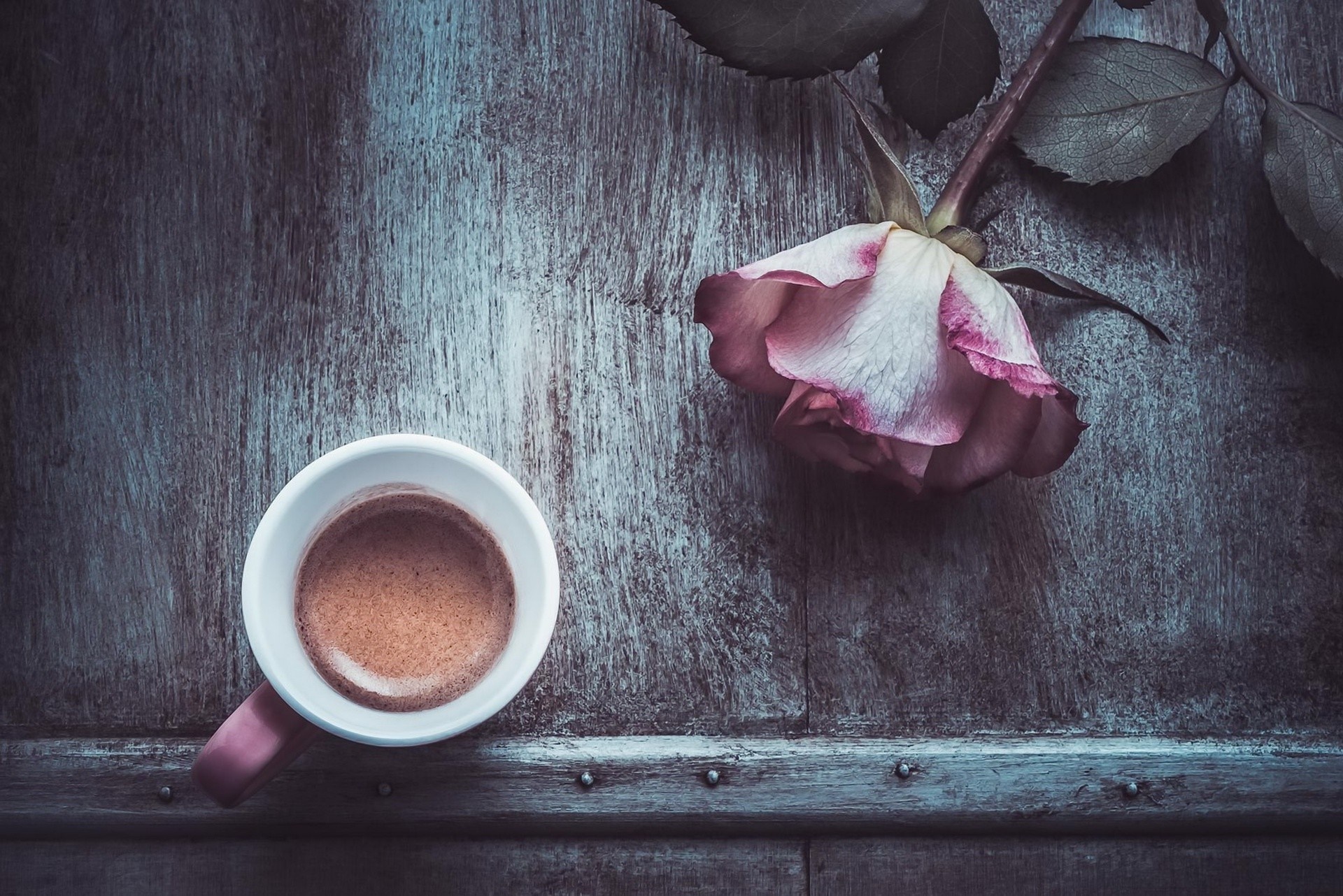 Espresso cup and pink rose on a wooden surface HD Wallpaper