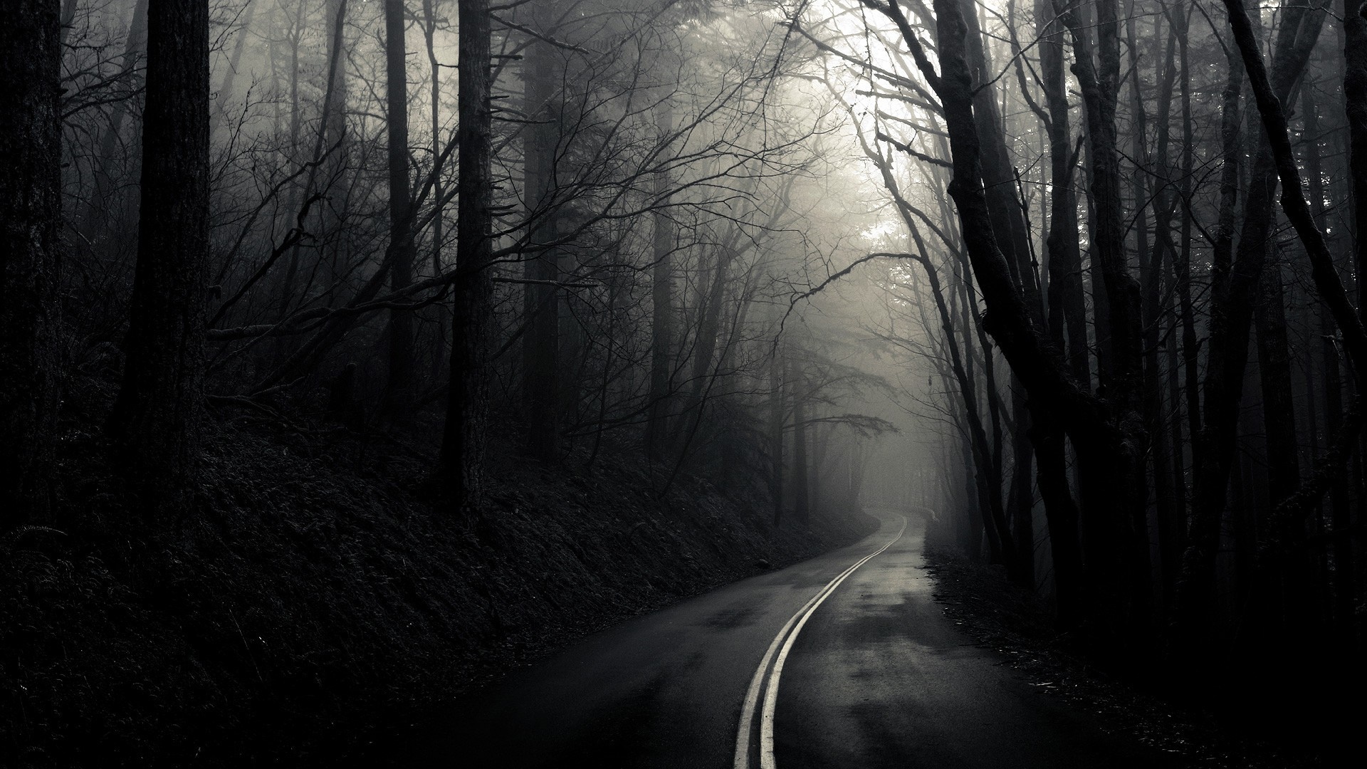 A winding road through a dark, misty forest HD Wallpaper
