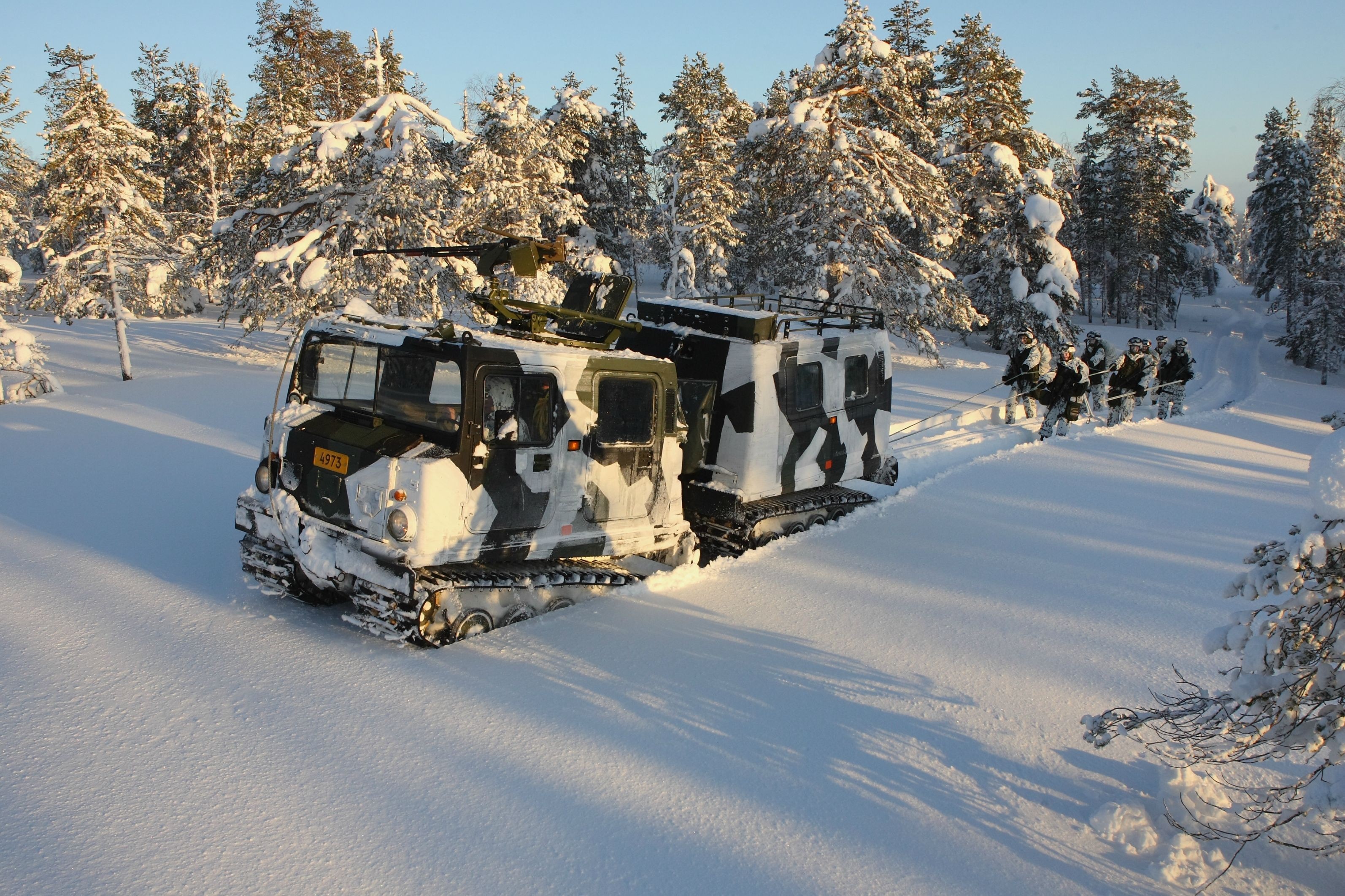 Swedish Army Hägglunds BV206 in snowy forest HD Wallpaper