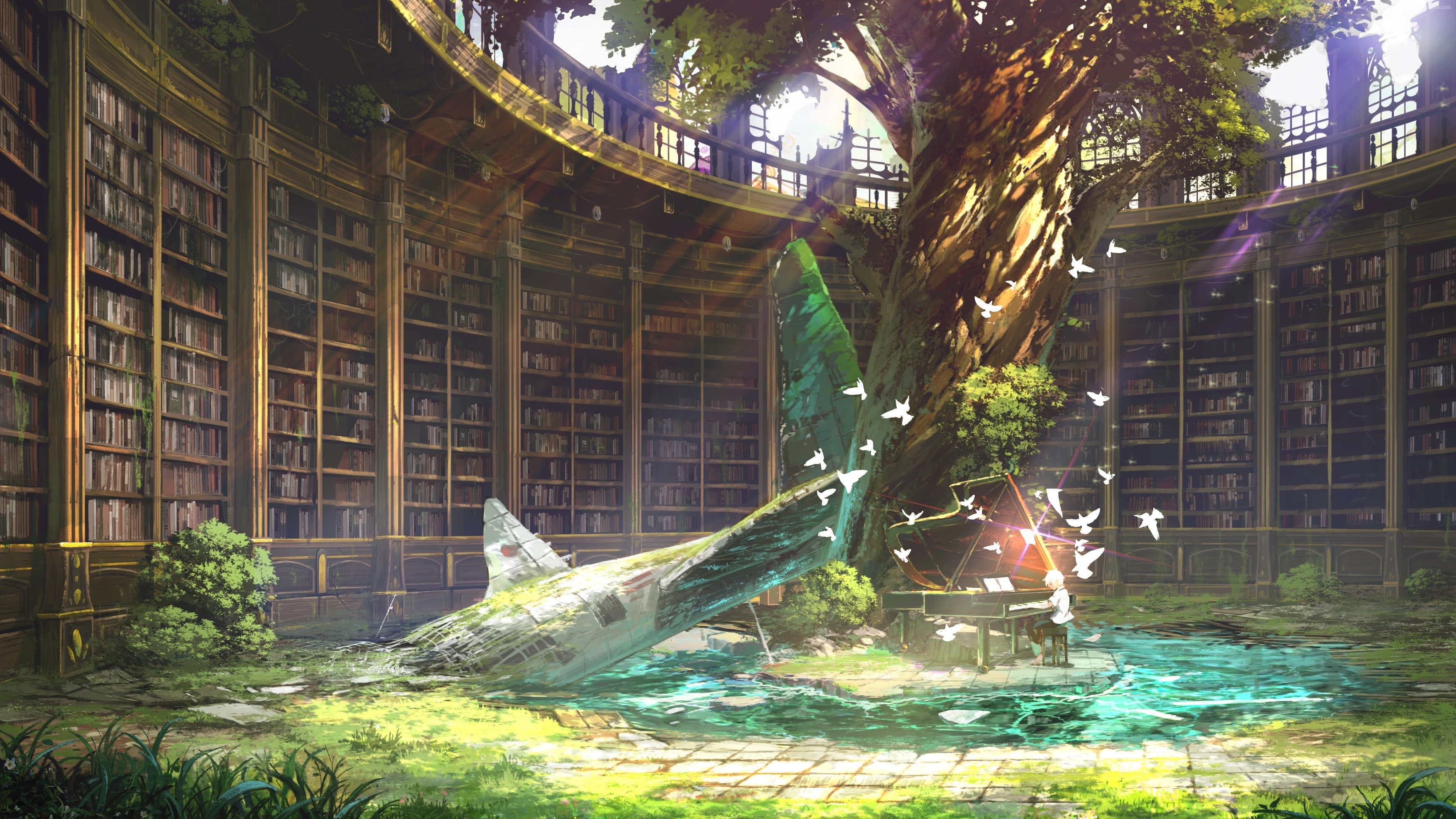 Abandoned Library with Tree and Piano HD Wallpaper